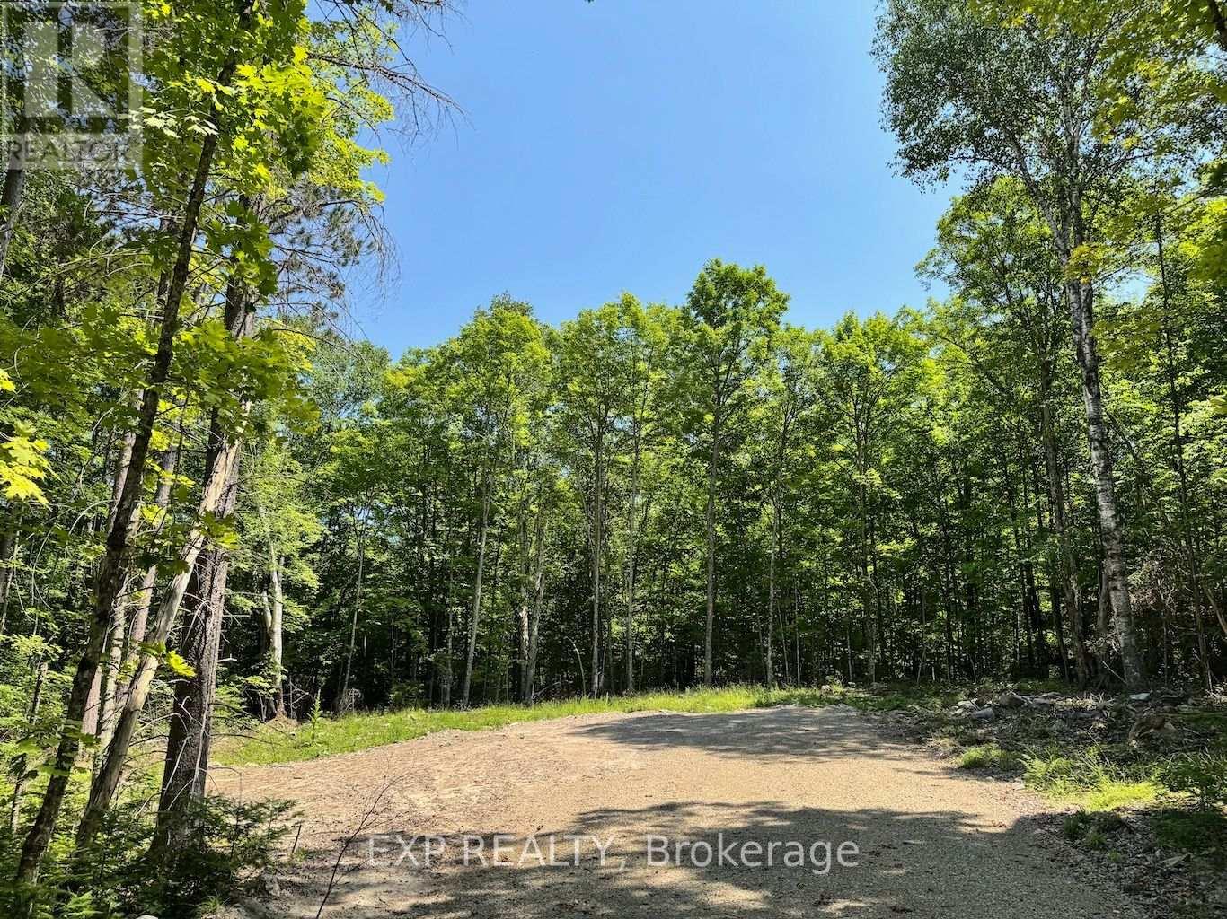 Lot 17 Lakewoods Drive, Madawaska Valley, Ontario  K0J 1B0 - Photo 3 - X12148259