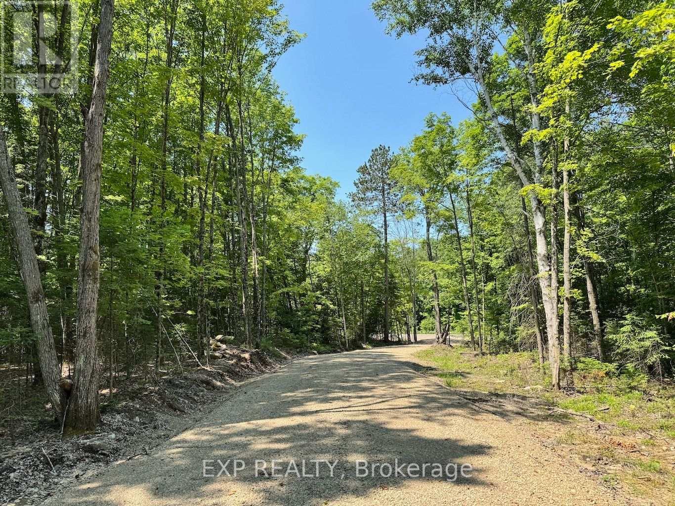 Lot 17 Lakewoods Drive, Madawaska Valley, Ontario  K0J 1B0 - Photo 6 - X12148259