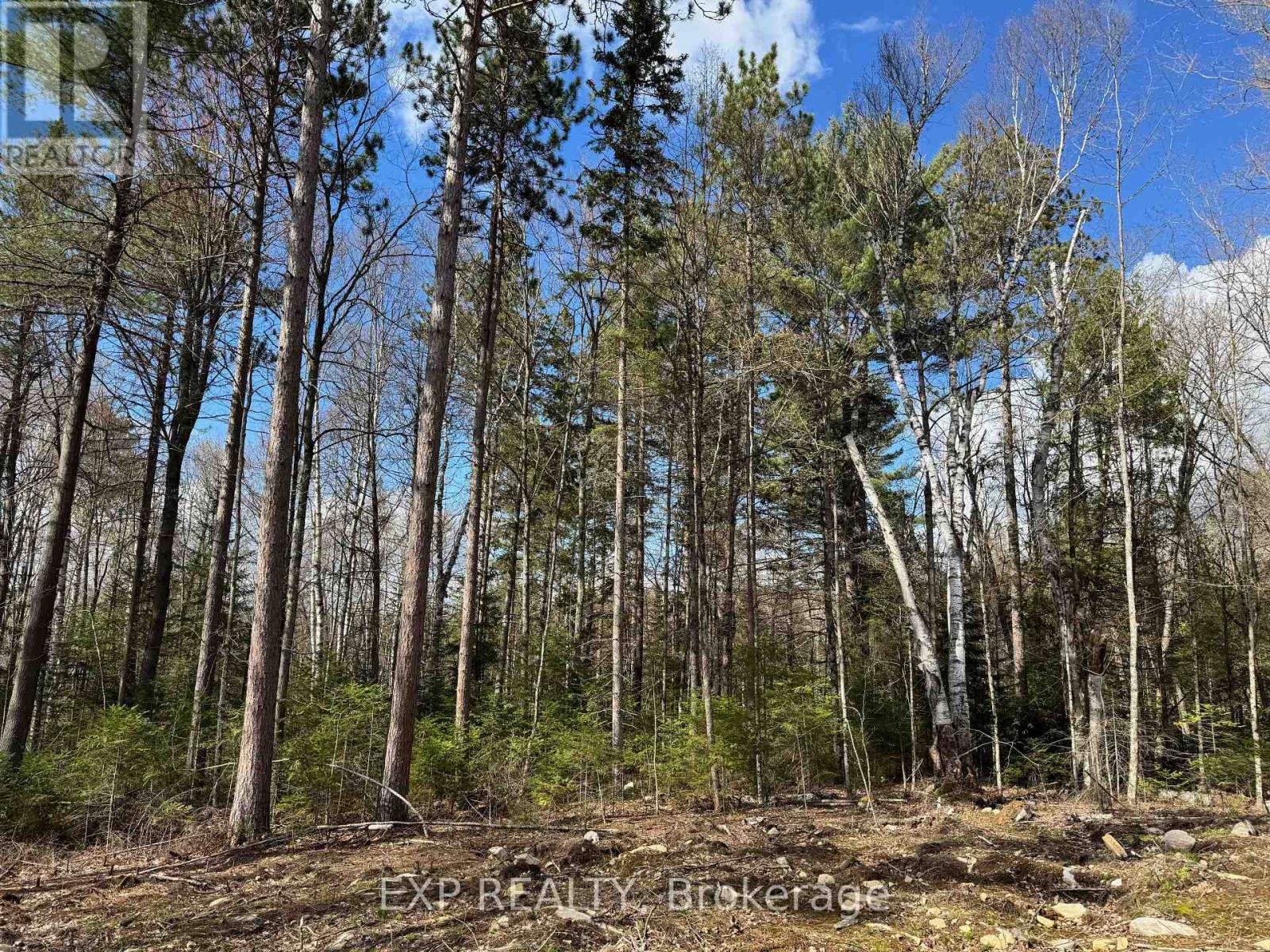 Lot 17 Lakewoods Drive, Madawaska Valley, Ontario  K0J 1B0 - Photo 7 - X12148259