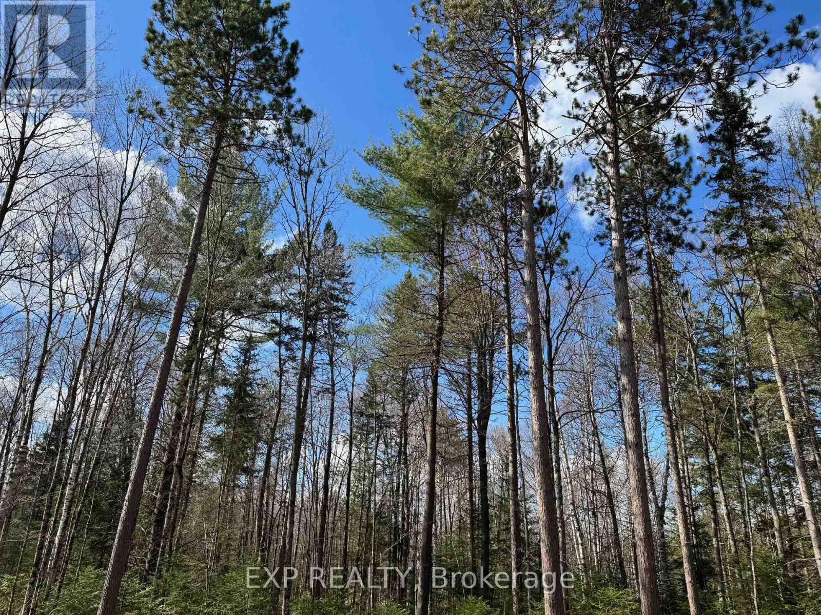 Lot 17 Lakewoods Drive, Madawaska Valley, Ontario  K0J 1B0 - Photo 8 - X12148259