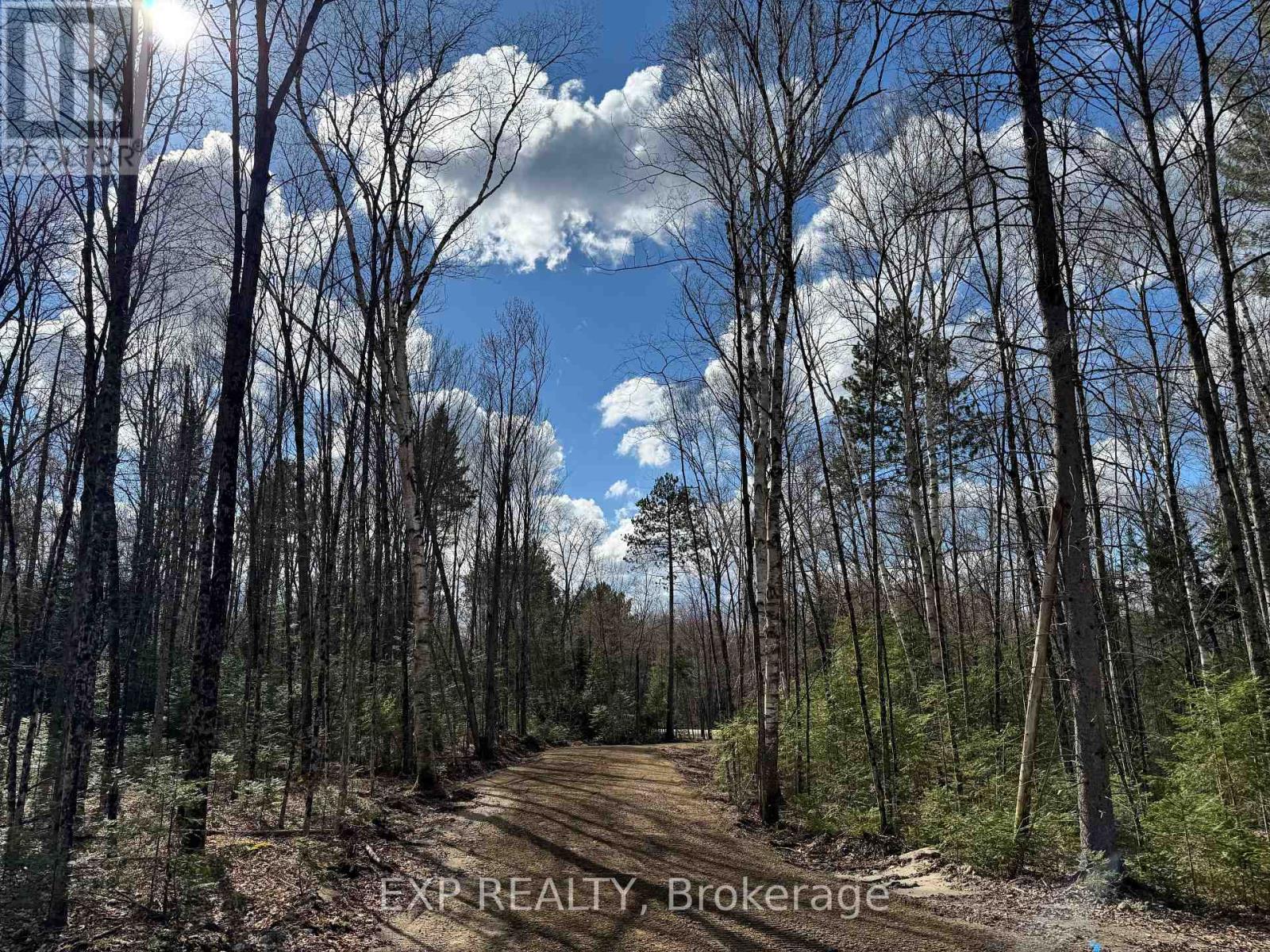 Lot 17 Lakewoods Drive, Madawaska Valley, Ontario  K0J 1B0 - Photo 9 - X12148259