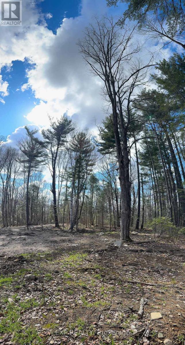 Lot 21 Lakewoods Drive, Madawaska Valley, Ontario  K0J 1B0 - Photo 10 - X12148266