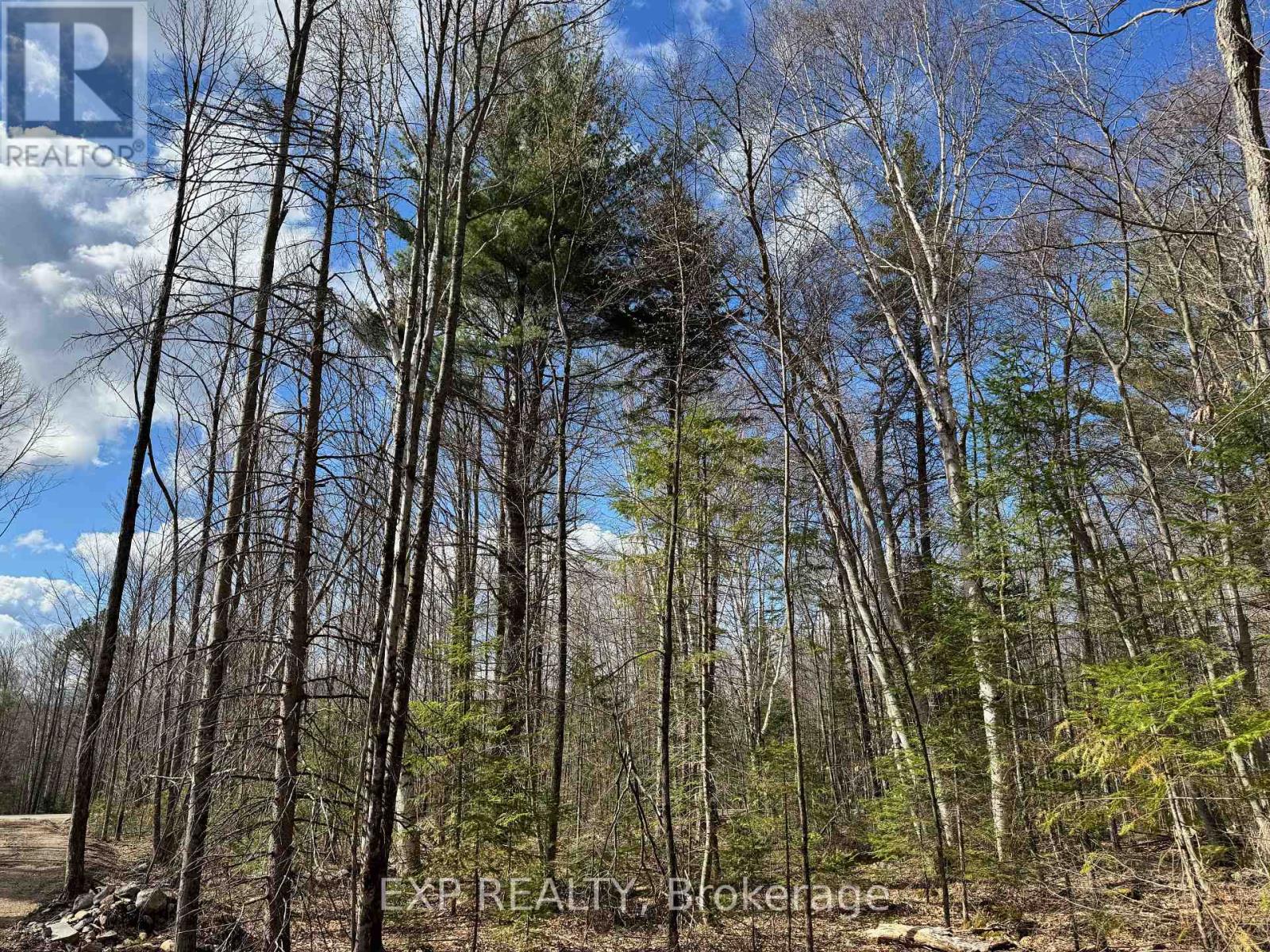 Lot 21 Lakewoods Drive, Madawaska Valley, Ontario  K0J 1B0 - Photo 12 - X12148266