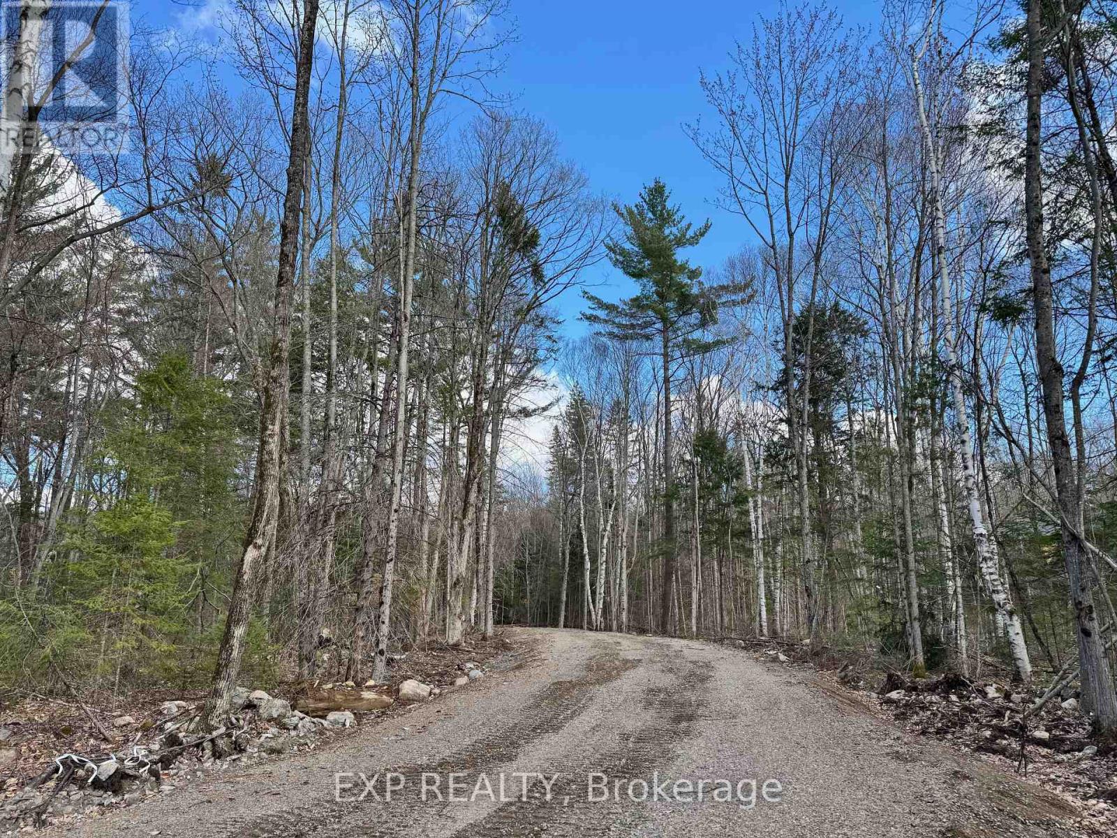 Lot 21 Lakewoods Drive, Madawaska Valley, Ontario  K0J 1B0 - Photo 4 - X12148266