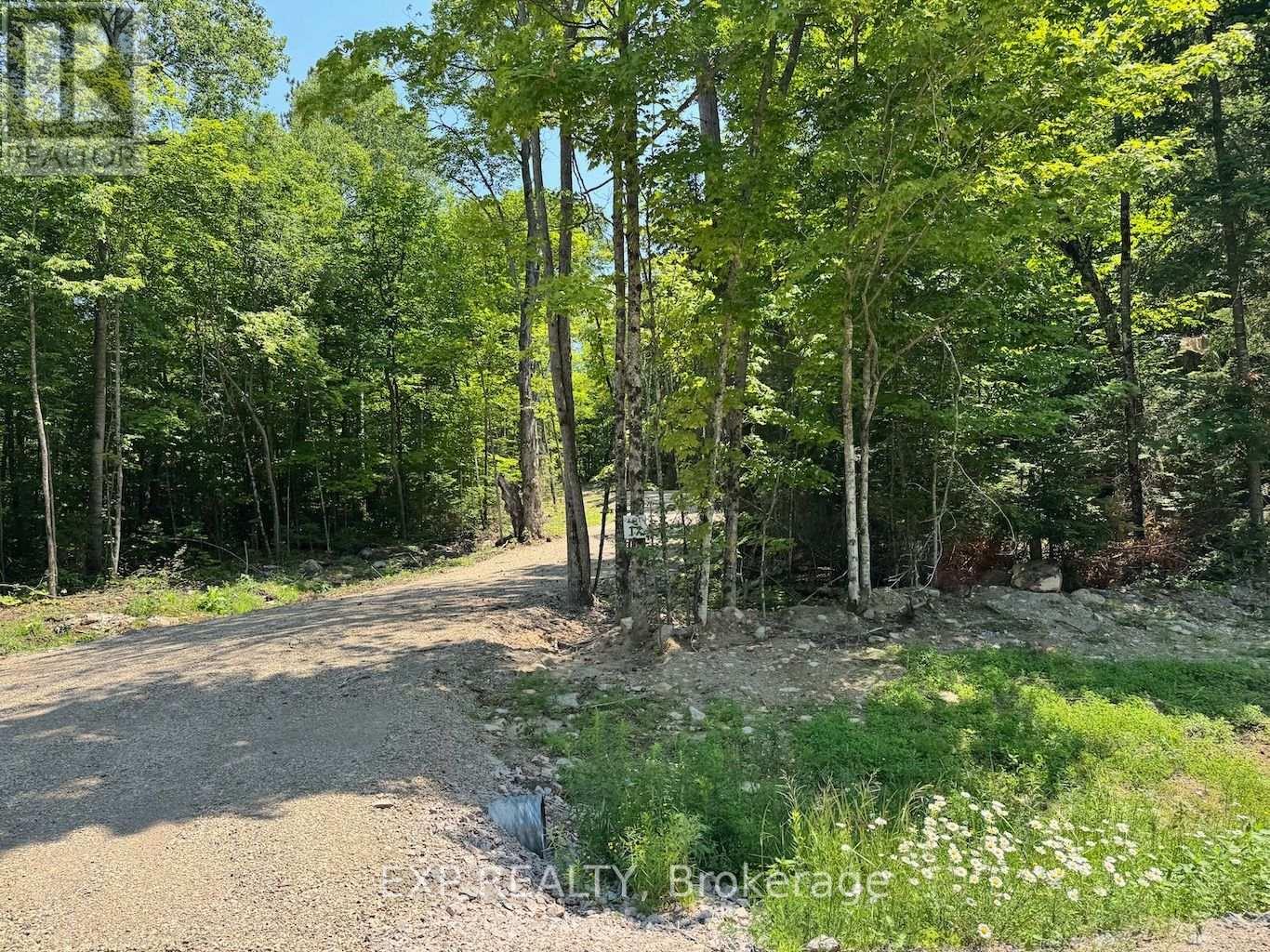 Lot 21 Lakewoods Drive, Madawaska Valley, Ontario  K0J 1B0 - Photo 6 - X12148266