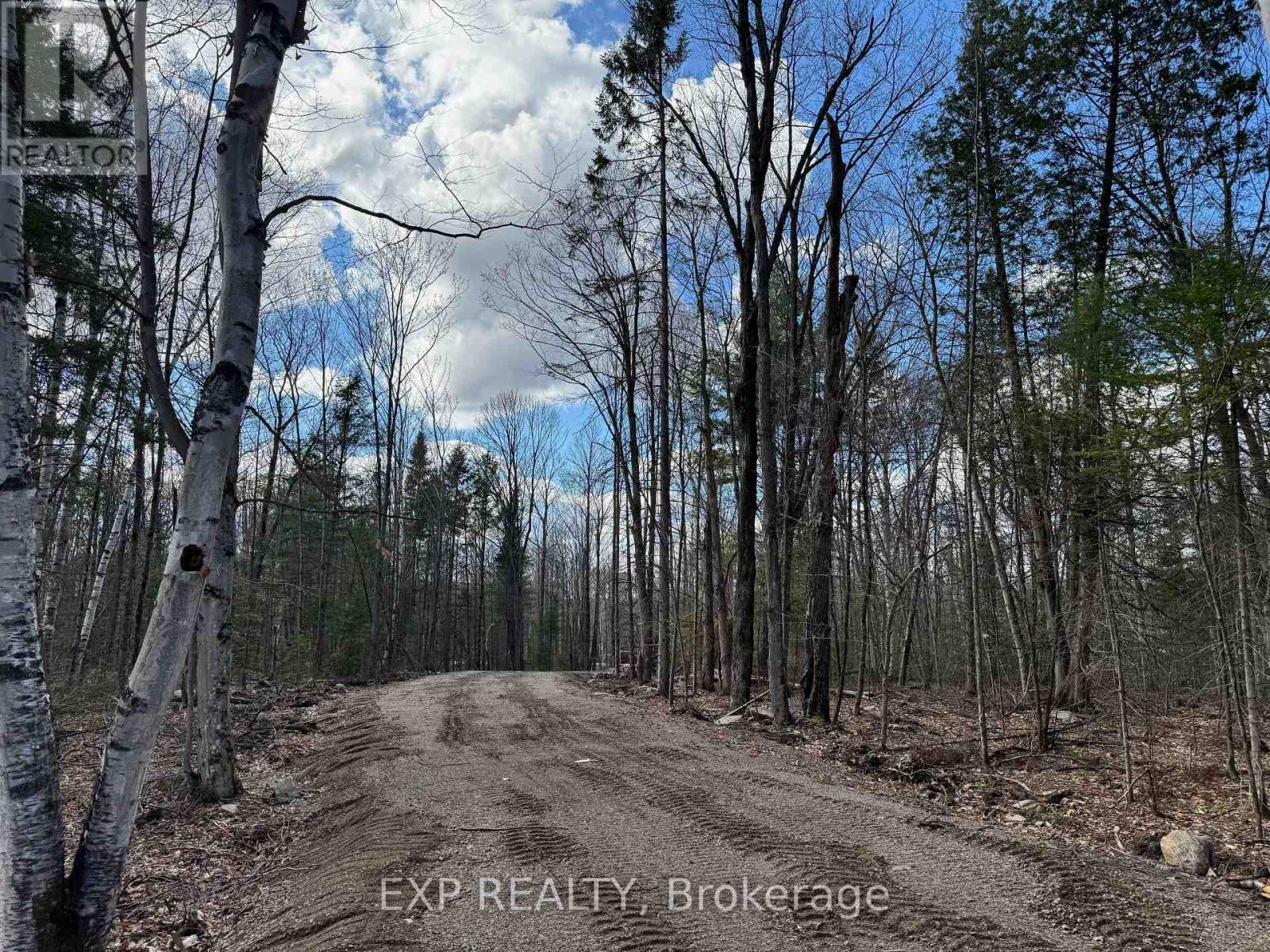 Lot 21 Lakewoods Drive, Madawaska Valley, Ontario  K0J 1B0 - Photo 7 - X12148266