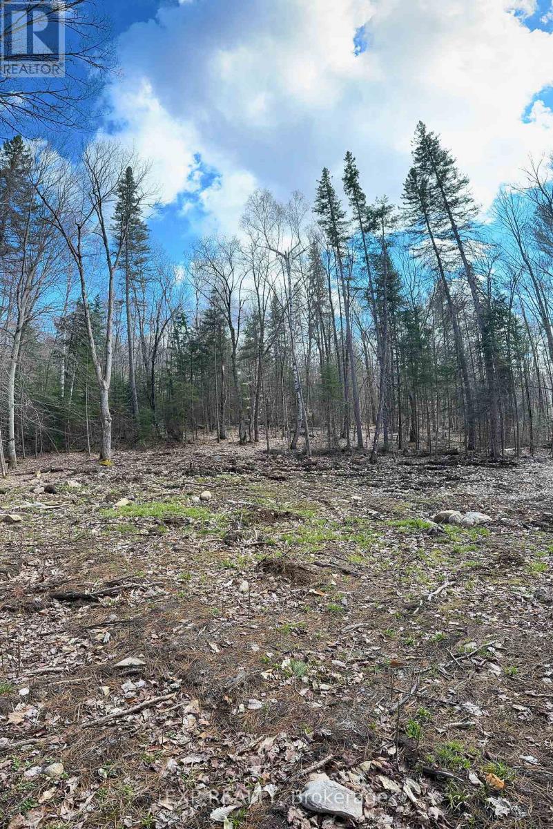 Lot 21 Lakewoods Drive, Madawaska Valley, Ontario  K0J 1B0 - Photo 9 - X12148266