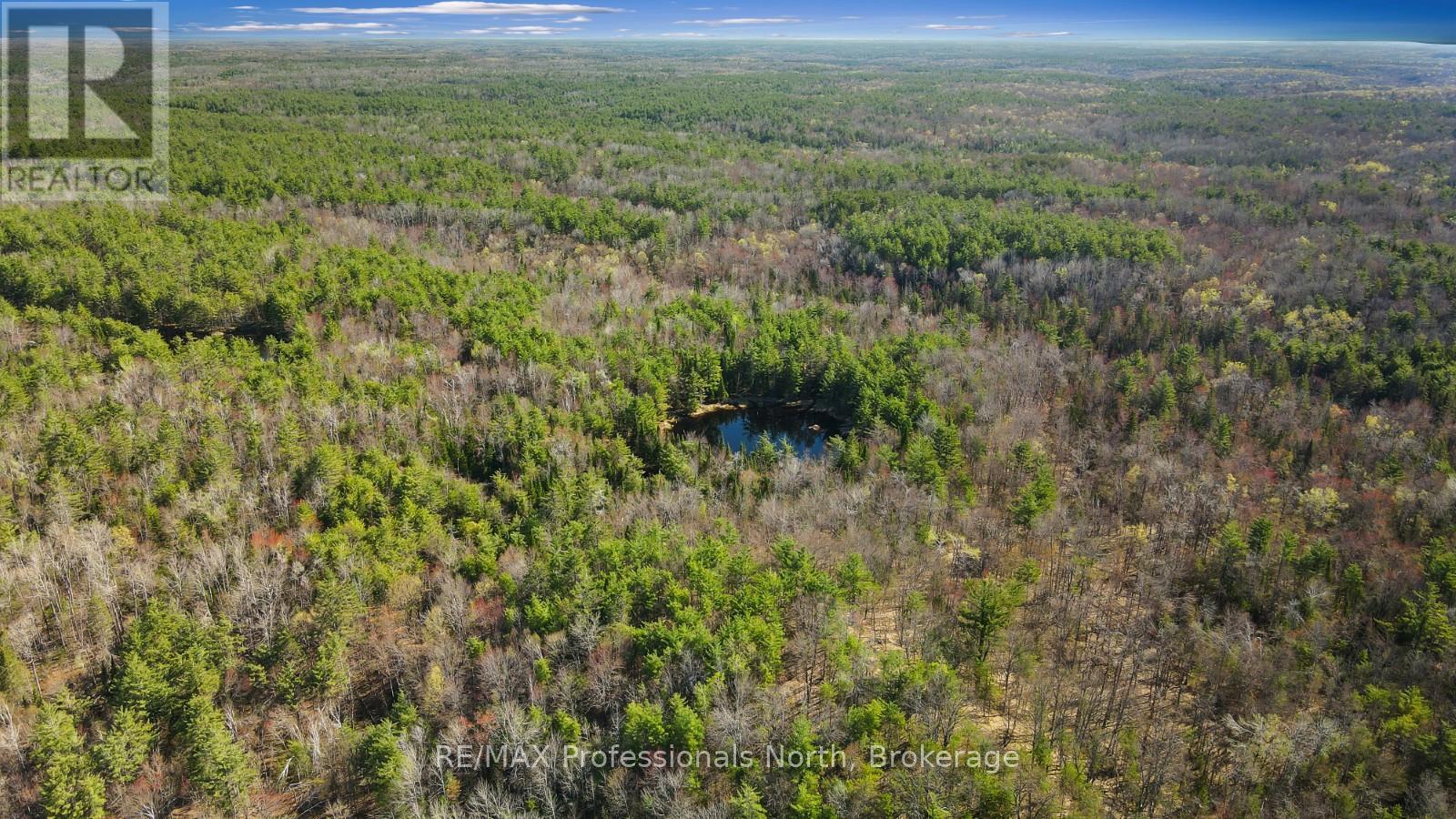 4770 County Road 121, Minden Hills, Ontario  K0M 2A1 - Photo 39 - X12148335