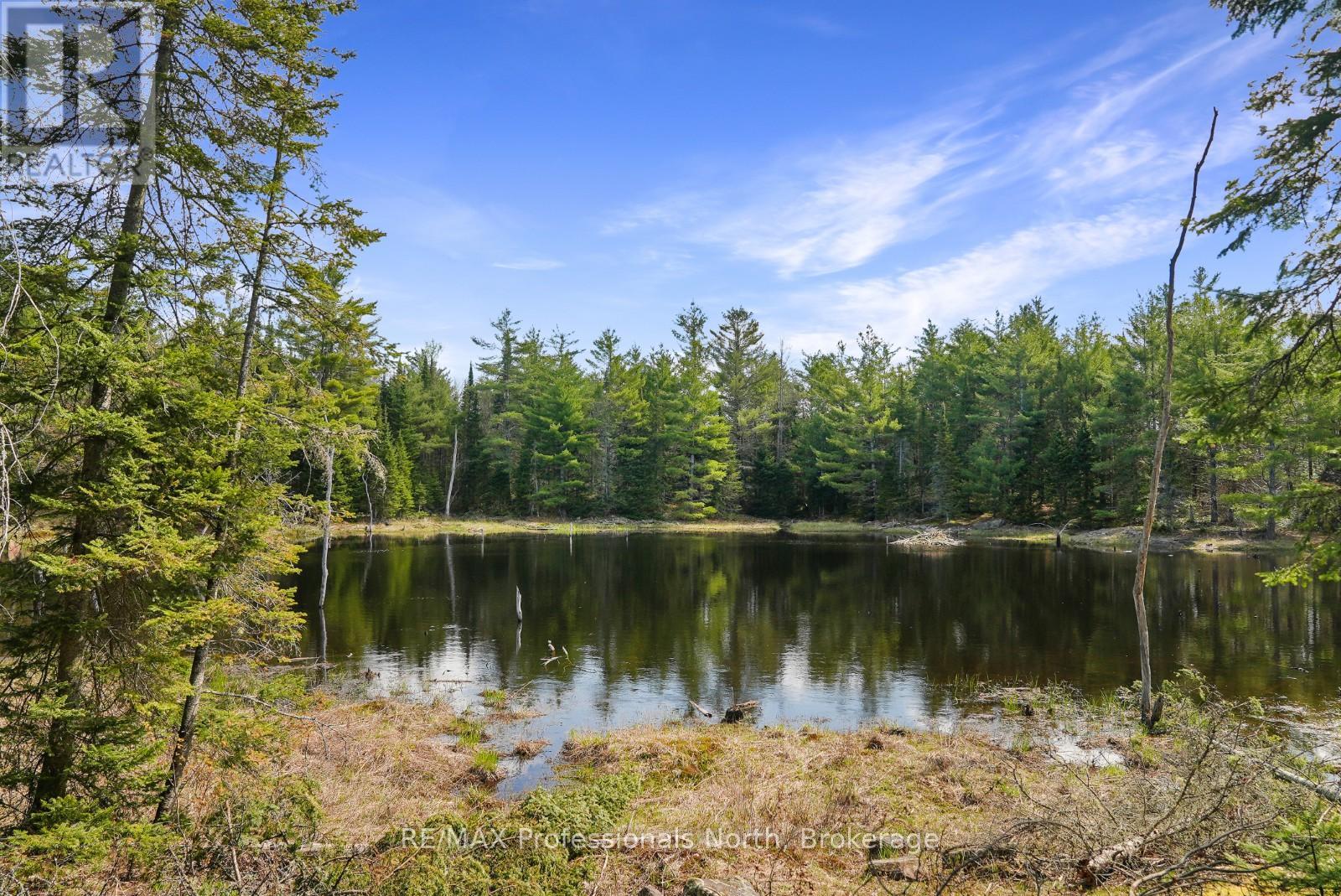 4770 County Road 121, Minden Hills, Ontario  K0M 2A1 - Photo 41 - X12148335