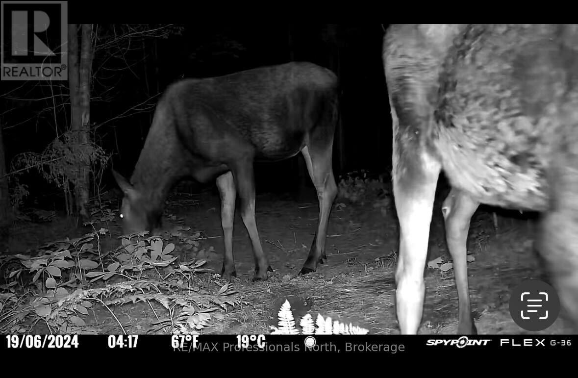 4770 County Road 121, Minden Hills, Ontario  K0M 2A1 - Photo 42 - X12148335