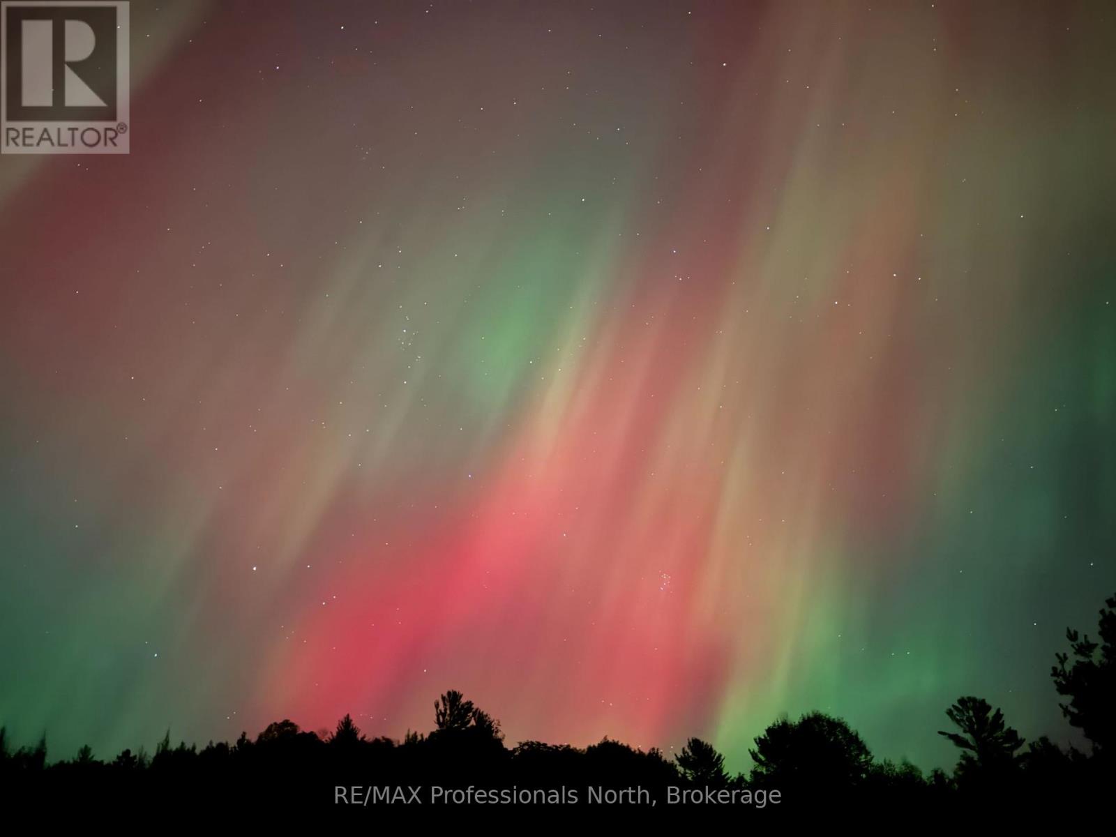 4770 County Road 121, Minden Hills, Ontario  K0M 2A1 - Photo 44 - X12148335