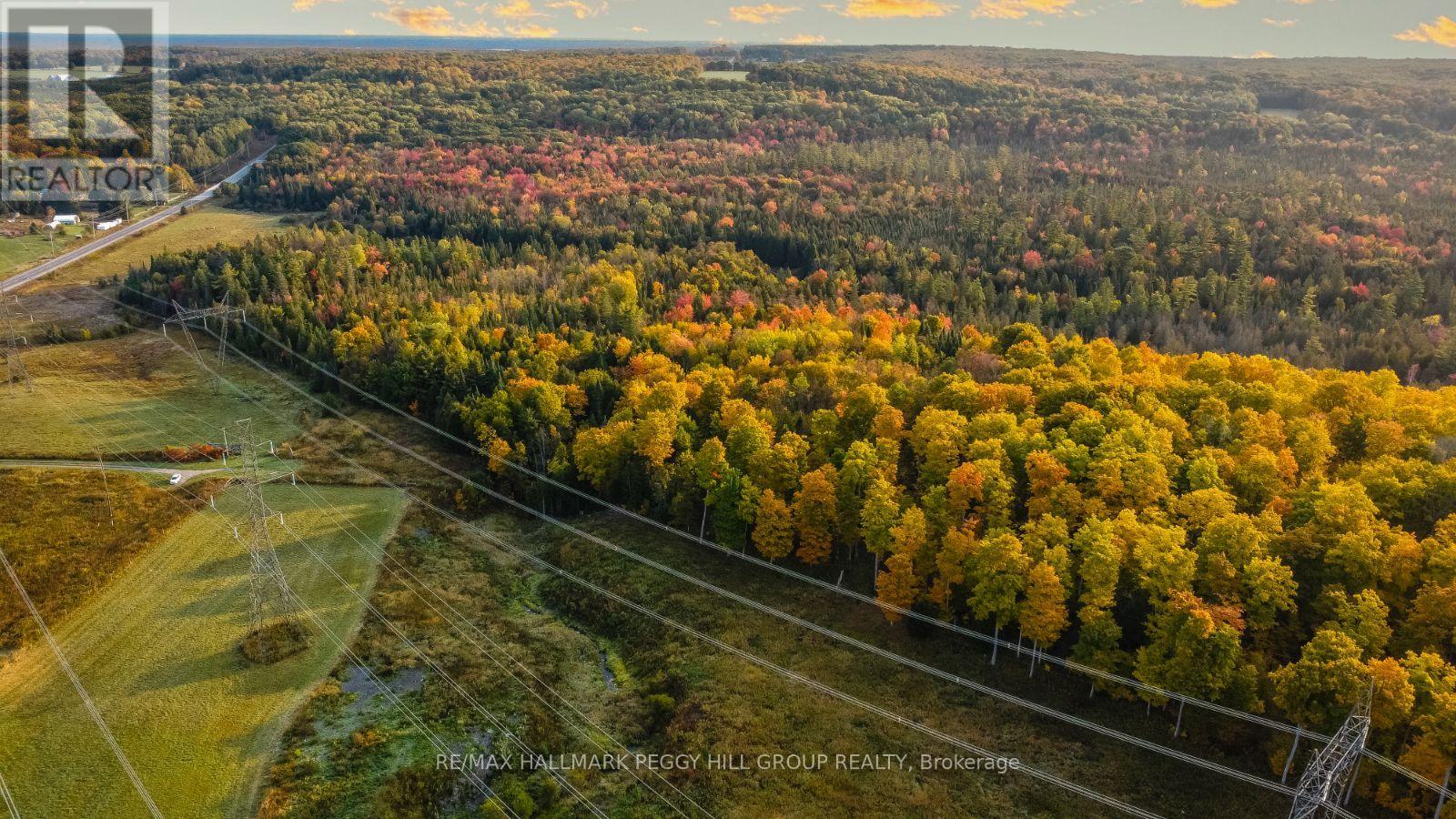 Lt23&24 Con 8, Oro-Medonte, Ontario  L0K 2C0 - Photo 14 - S12148171