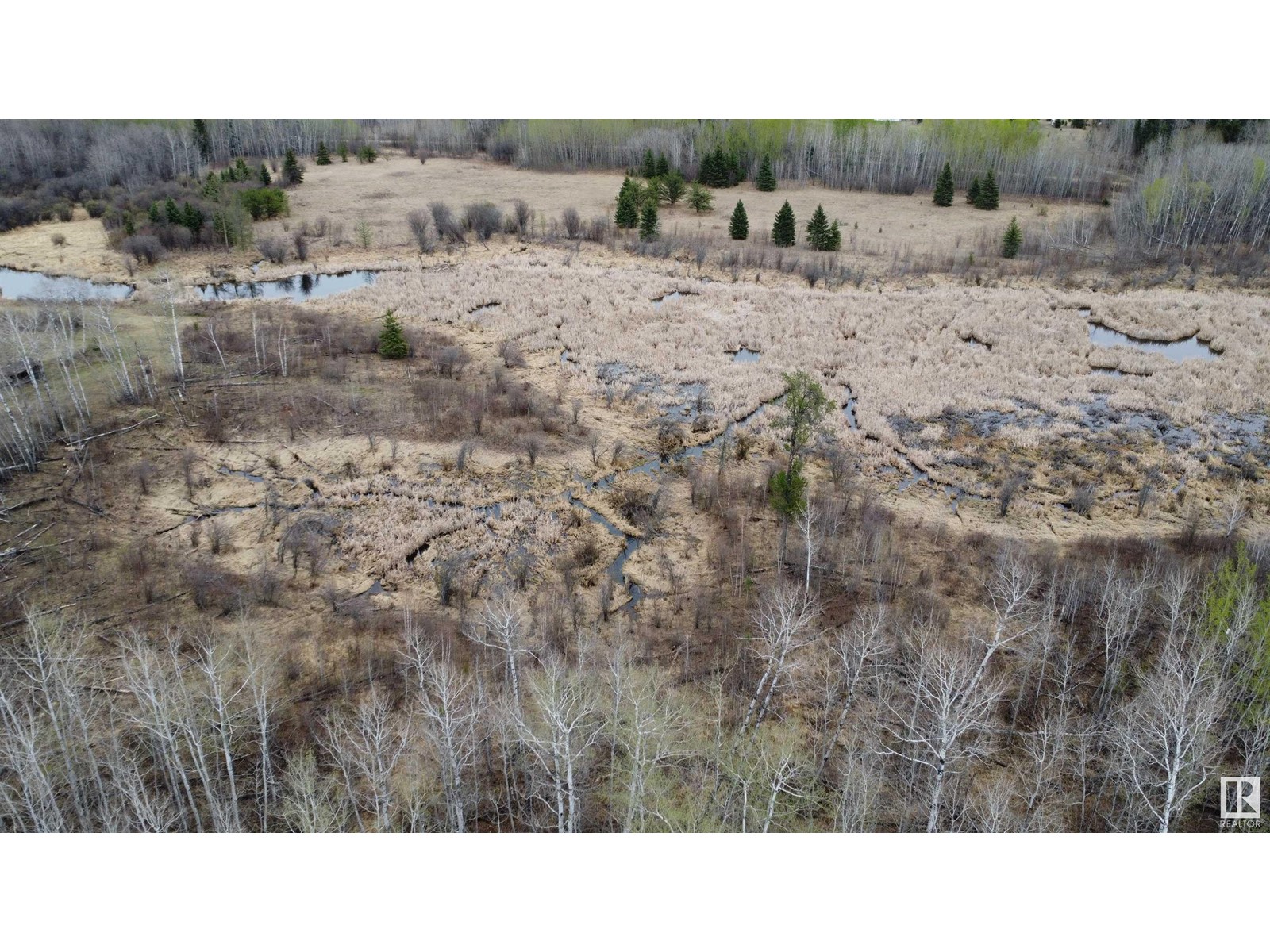 621071 Rg Rd 240.5, Rural Athabasca County, Alberta  T0G 0P0 - Photo 5 - E4436374