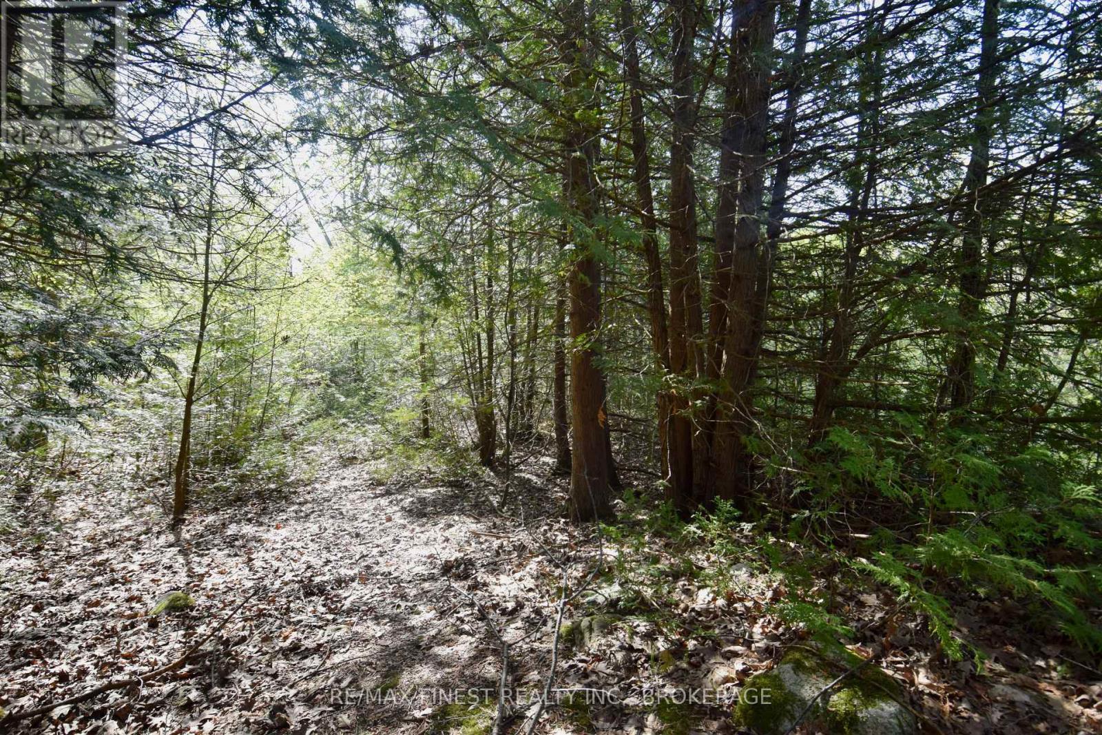 ~20 Ballantra Drive, Stone Mills, Ontario  K0K 3G0 - Photo 9 - X12131048