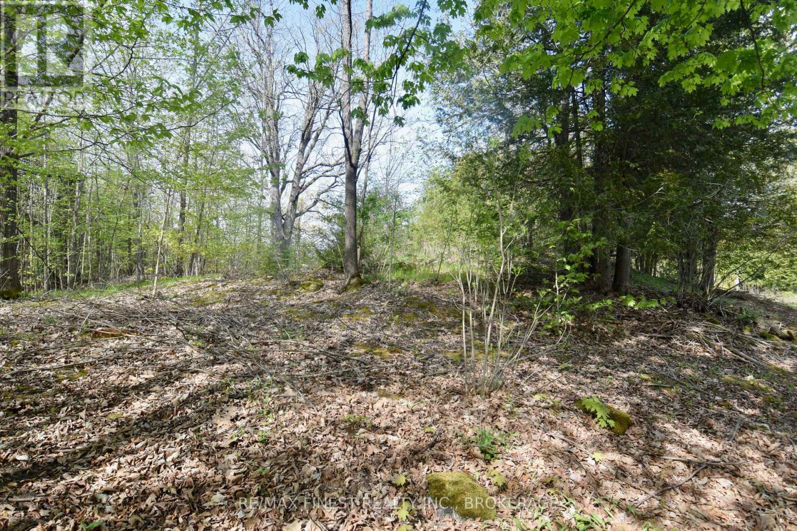 ~20 Ballantra Drive, Stone Mills, Ontario  K0K 3G0 - Photo 7 - X12131048