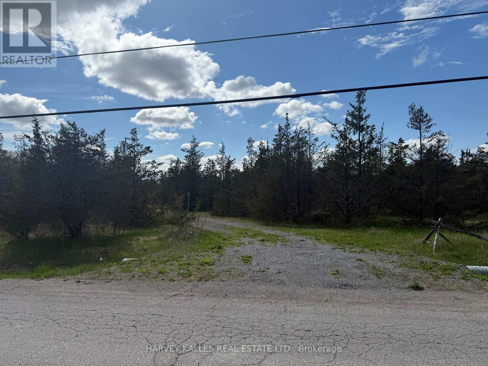 390 County Road 25, Prince Edward County, Ontario  K0K 2T0 - Photo 3 - X12148552