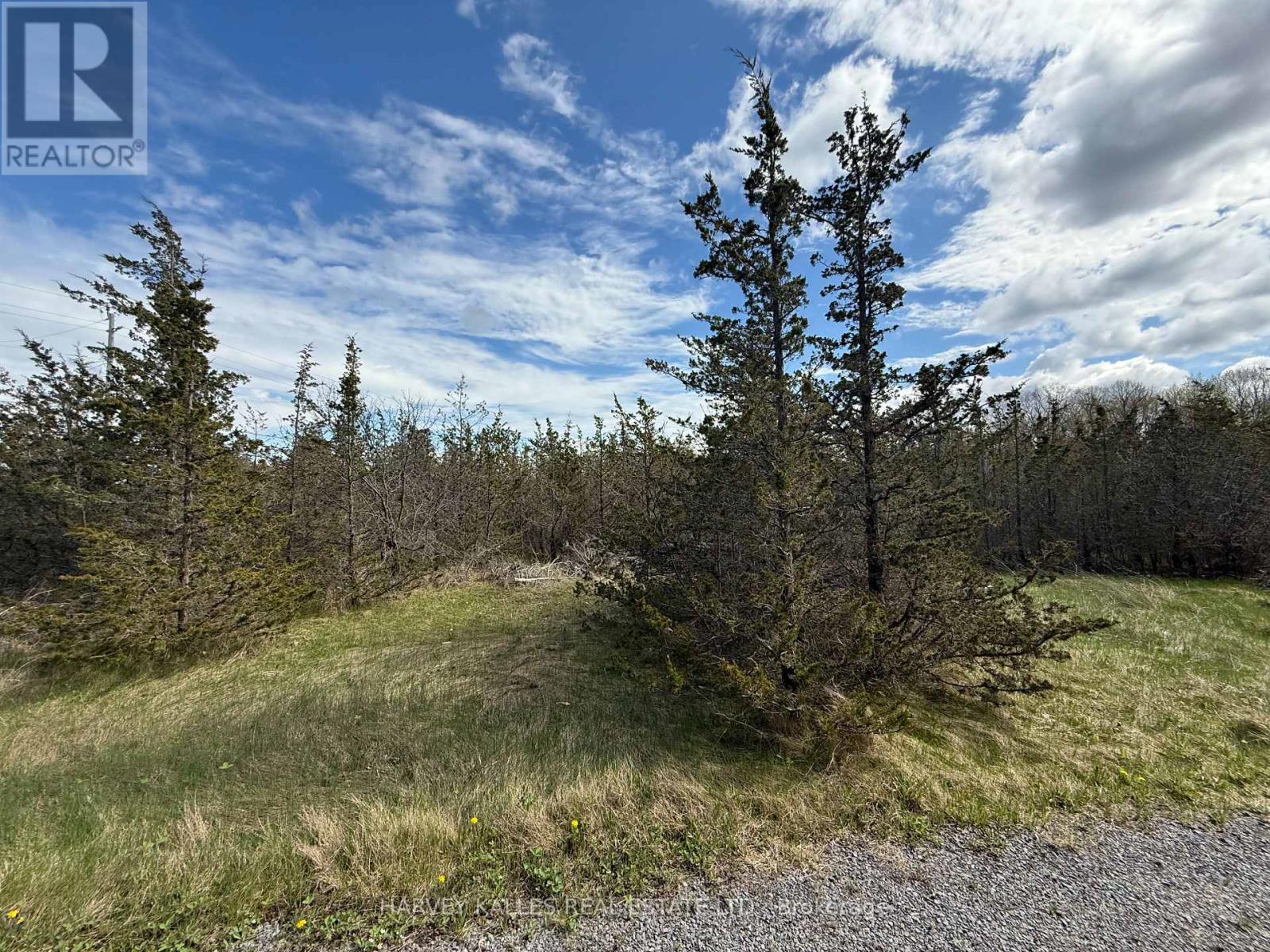 390 County Road 25, Prince Edward County, Ontario  K0K 2T0 - Photo 5 - X12148552