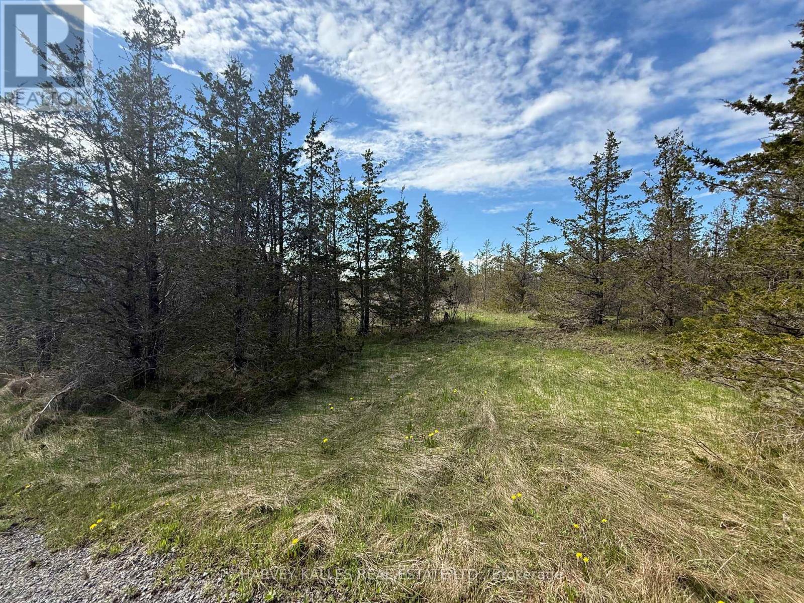 390 County Road 25, Prince Edward County, Ontario  K0K 2T0 - Photo 6 - X12148552