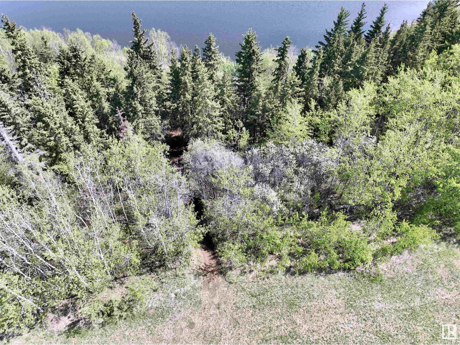 249 57201 Rr 102, Rural St. Paul County, Alberta  T0A 3A0 - Photo 27 - E4426407