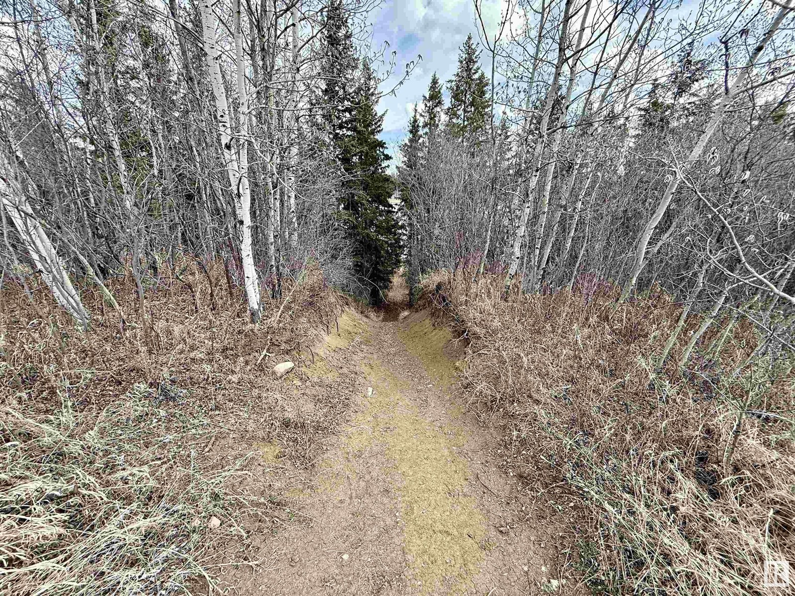 249 57201 Rr 102, Rural St. Paul County, Alberta  T0A 3A0 - Photo 24 - E4426407