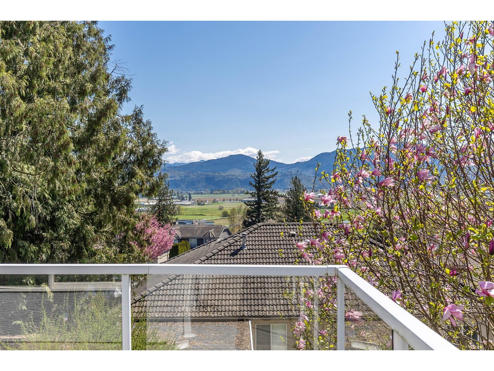 Property at 35148 KNOX CRESCENT image 4