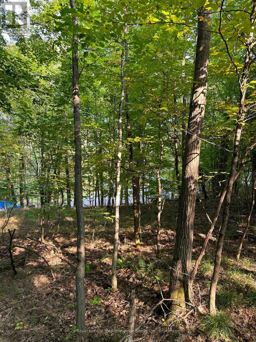 1000 Island Park Road, Muskoka Lakes, Ontario  P0B 1J0 - Photo 15 - X12148509