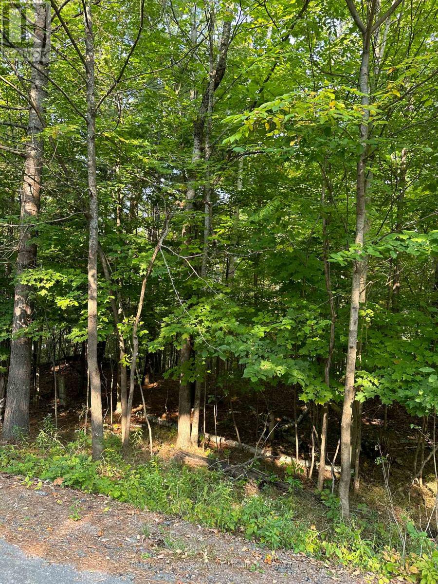 1000 Island Park Road, Muskoka Lakes, Ontario  P0B 1J0 - Photo 3 - X12148509