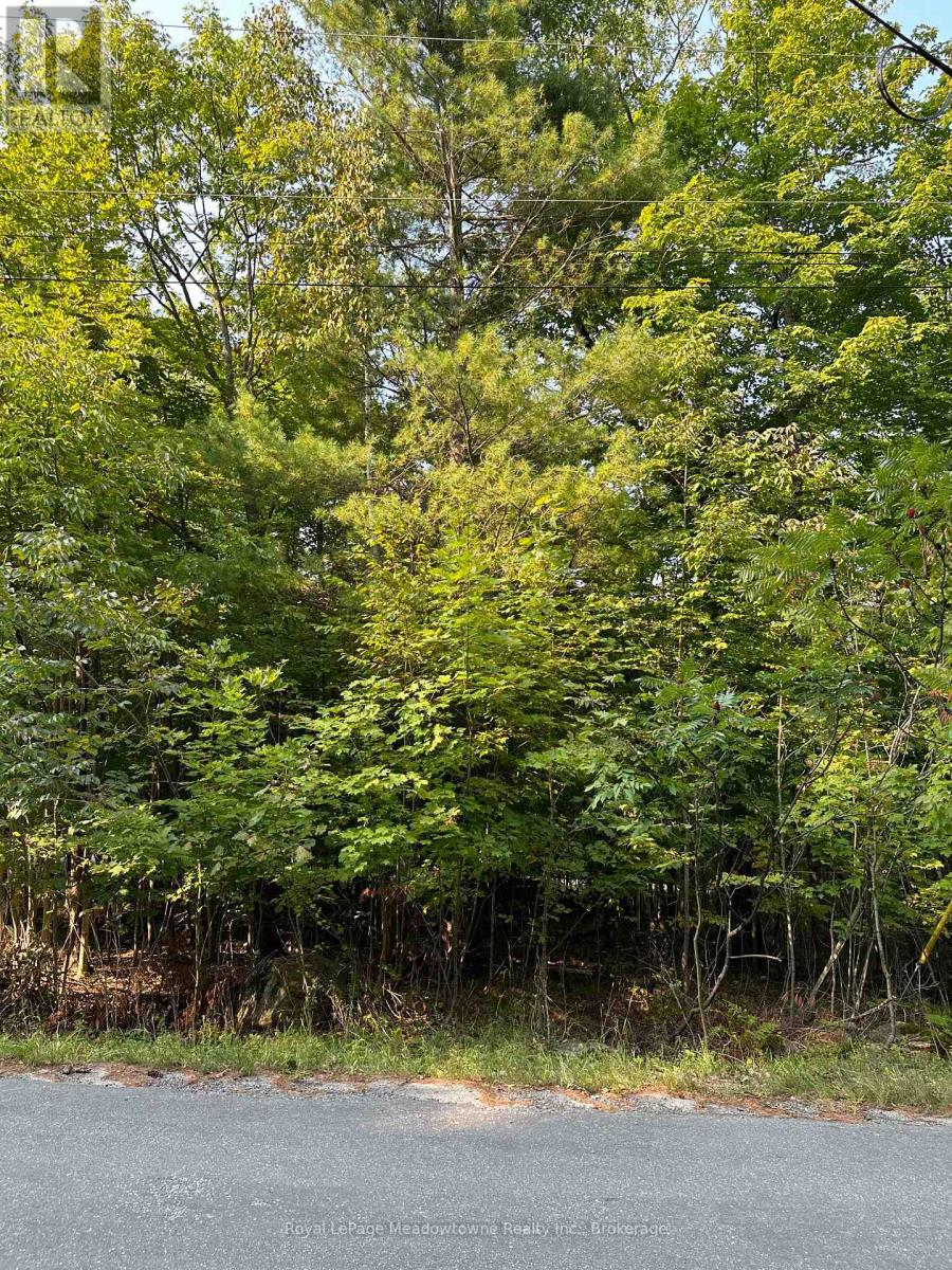 1000 Island Park Road, Muskoka Lakes, Ontario  P0B 1J0 - Photo 4 - X12148509