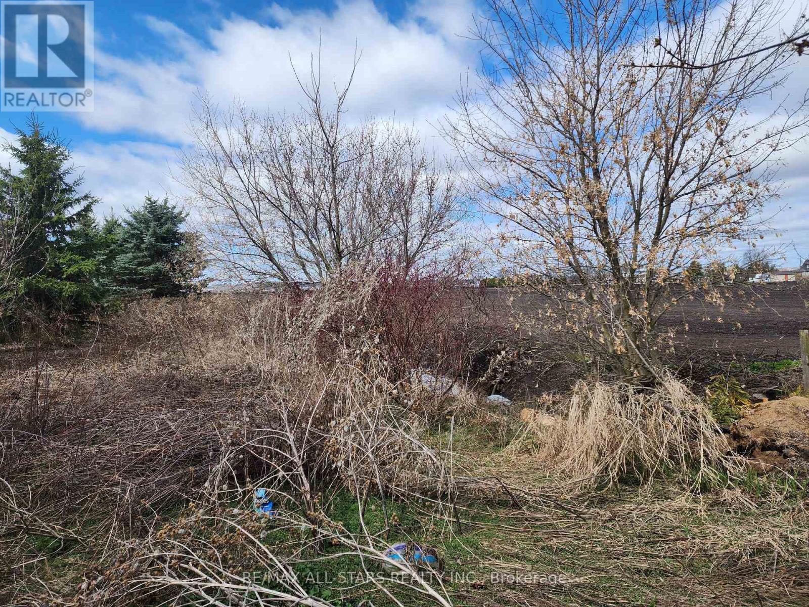 19140 Dufferin Street, King, Ontario  L3Y 4V9 - Photo 3 - N12148714