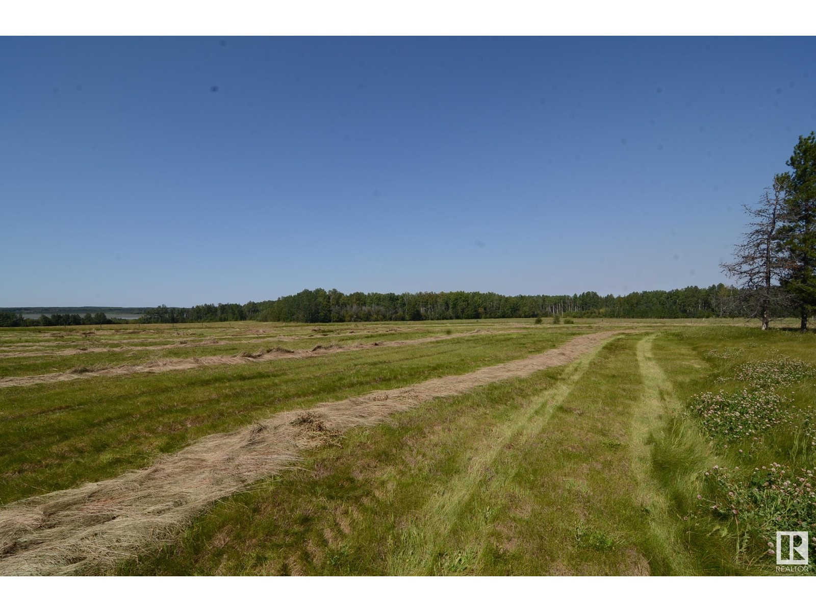 67406 Range Road 235, Rural Greenview M.d., Alberta  T0H 3Z0 - Photo 23 - E4436396