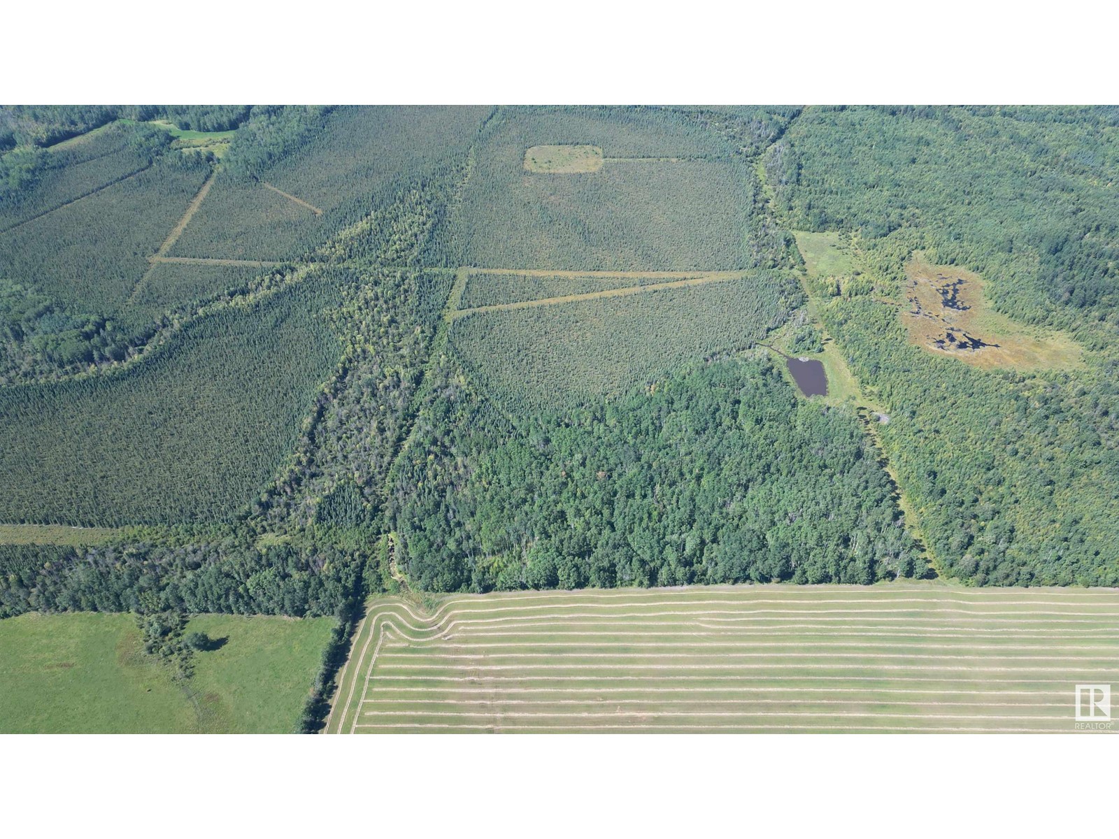 67406 Range Road 235, Rural Greenview M.d., Alberta  T0H 3Z0 - Photo 46 - E4436396