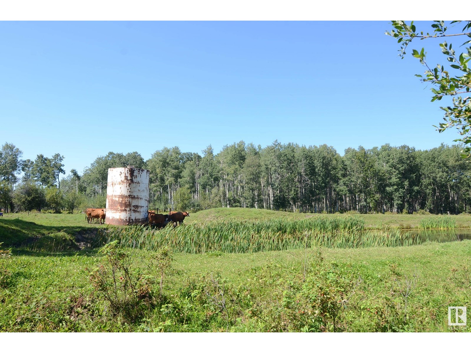 67406 Range Road 235, Rural Greenview M.d., Alberta  T0H 3Z0 - Photo 49 - E4436396