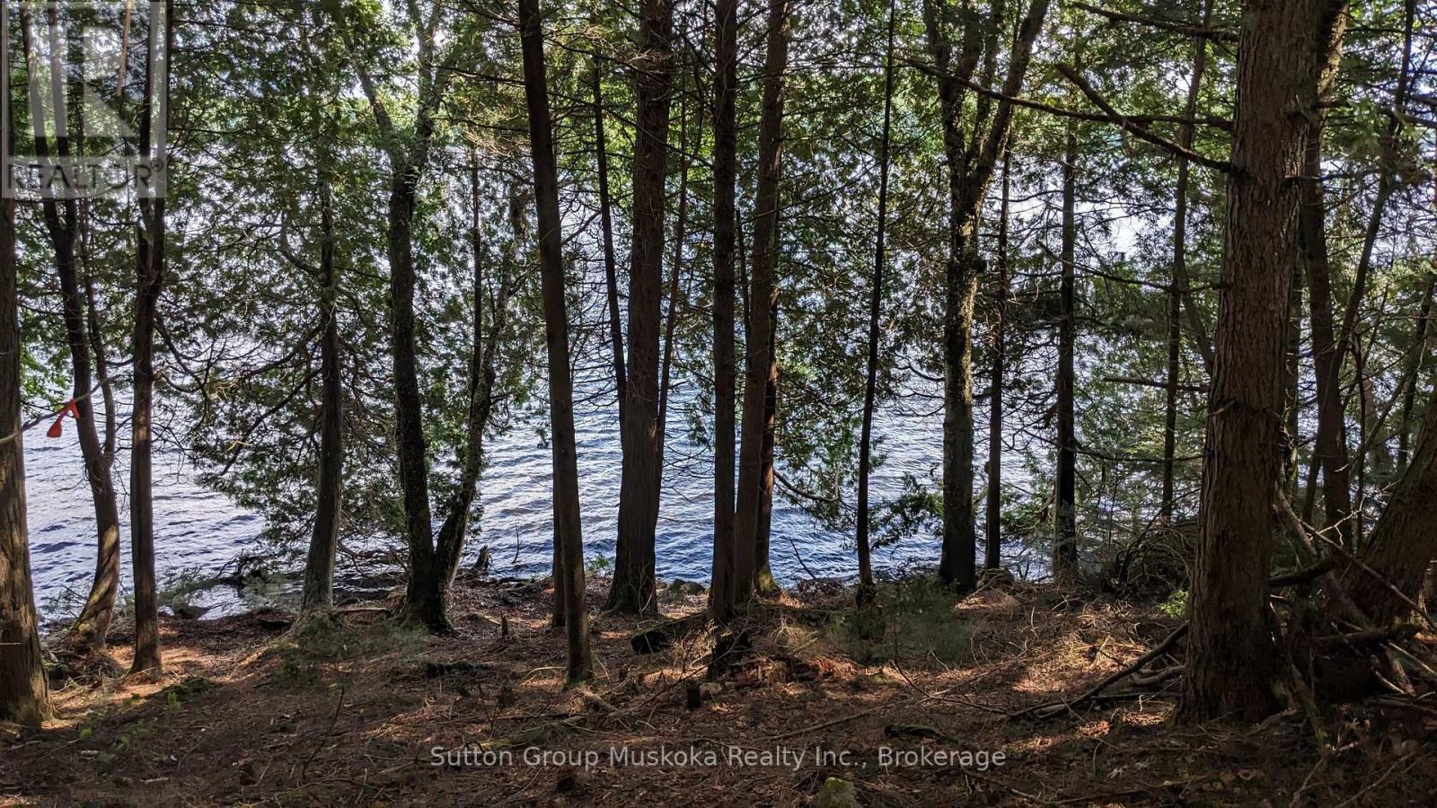 Lot 2 Esig Lane, Lake Of Bays, Ontario  P1H 2J6 - Photo 12 - X12148644