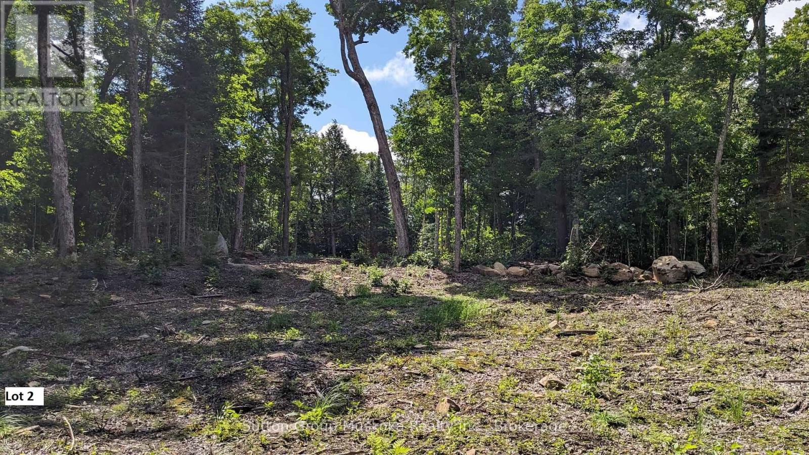 Lot 2 Esig Lane, Lake Of Bays, Ontario  P1H 2J6 - Photo 3 - X12148644