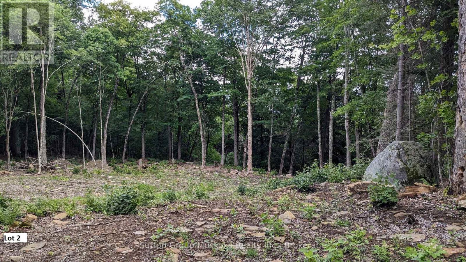 Lot 2 Esig Lane, Lake Of Bays, Ontario  P1H 2J6 - Photo 4 - X12148644