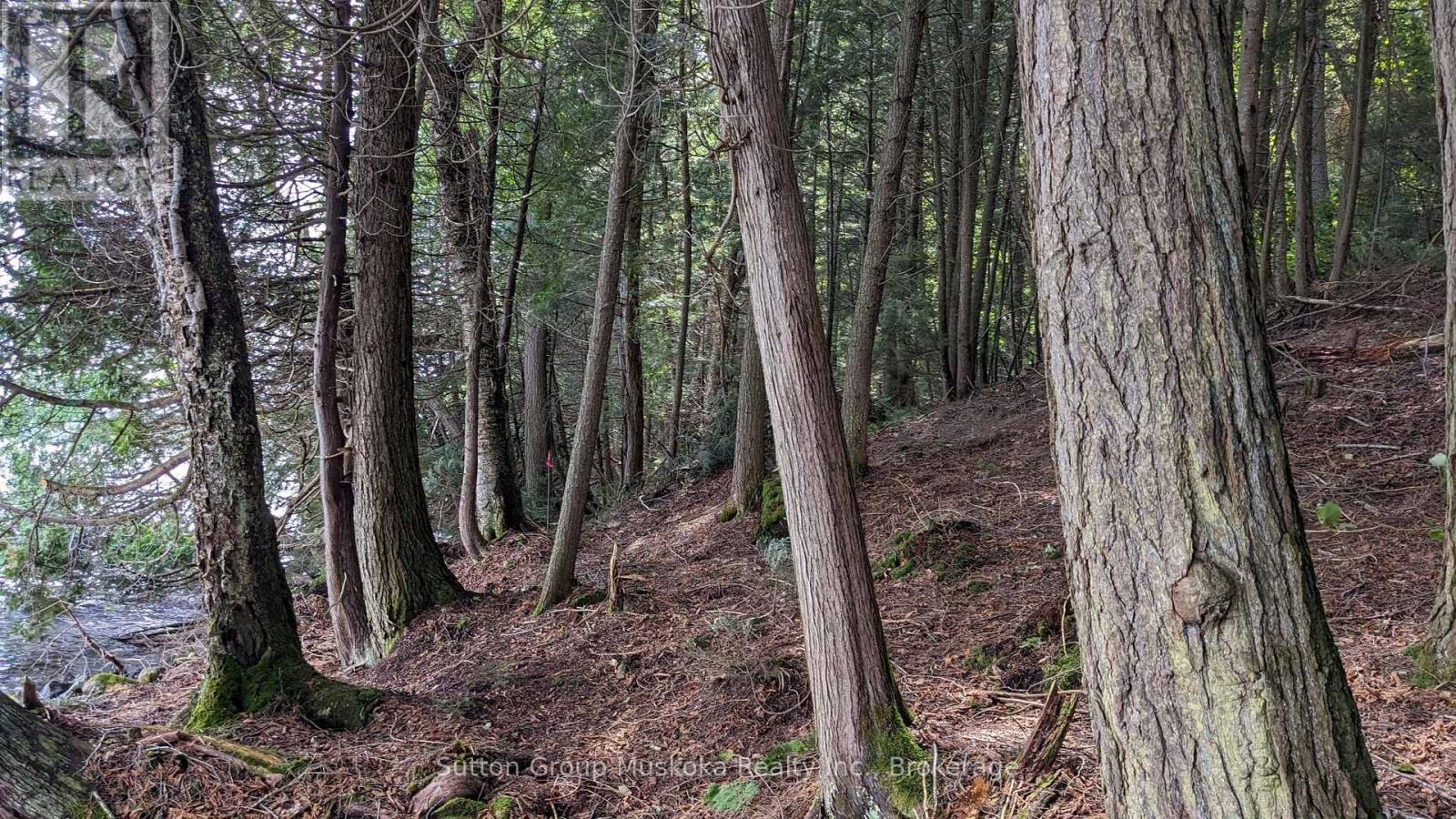 Lot 2 Esig Lane, Lake Of Bays, Ontario  P1H 2J6 - Photo 5 - X12148644