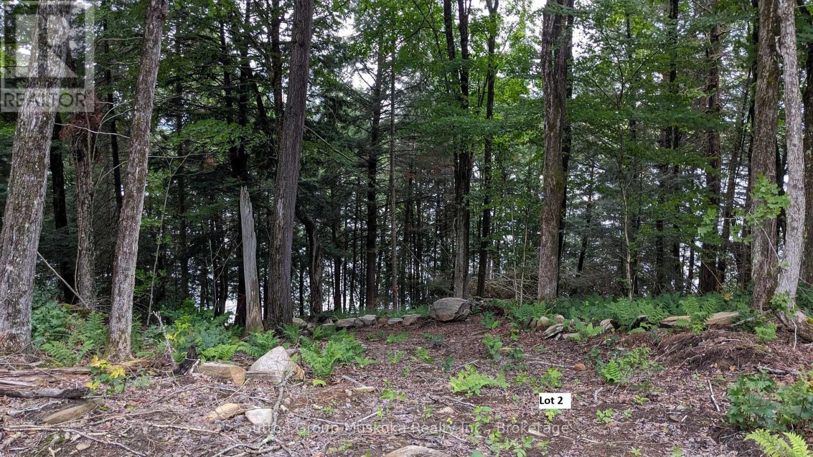 Lot 2 Esig Lane, Lake Of Bays, Ontario  P1H 2J6 - Photo 7 - X12148644