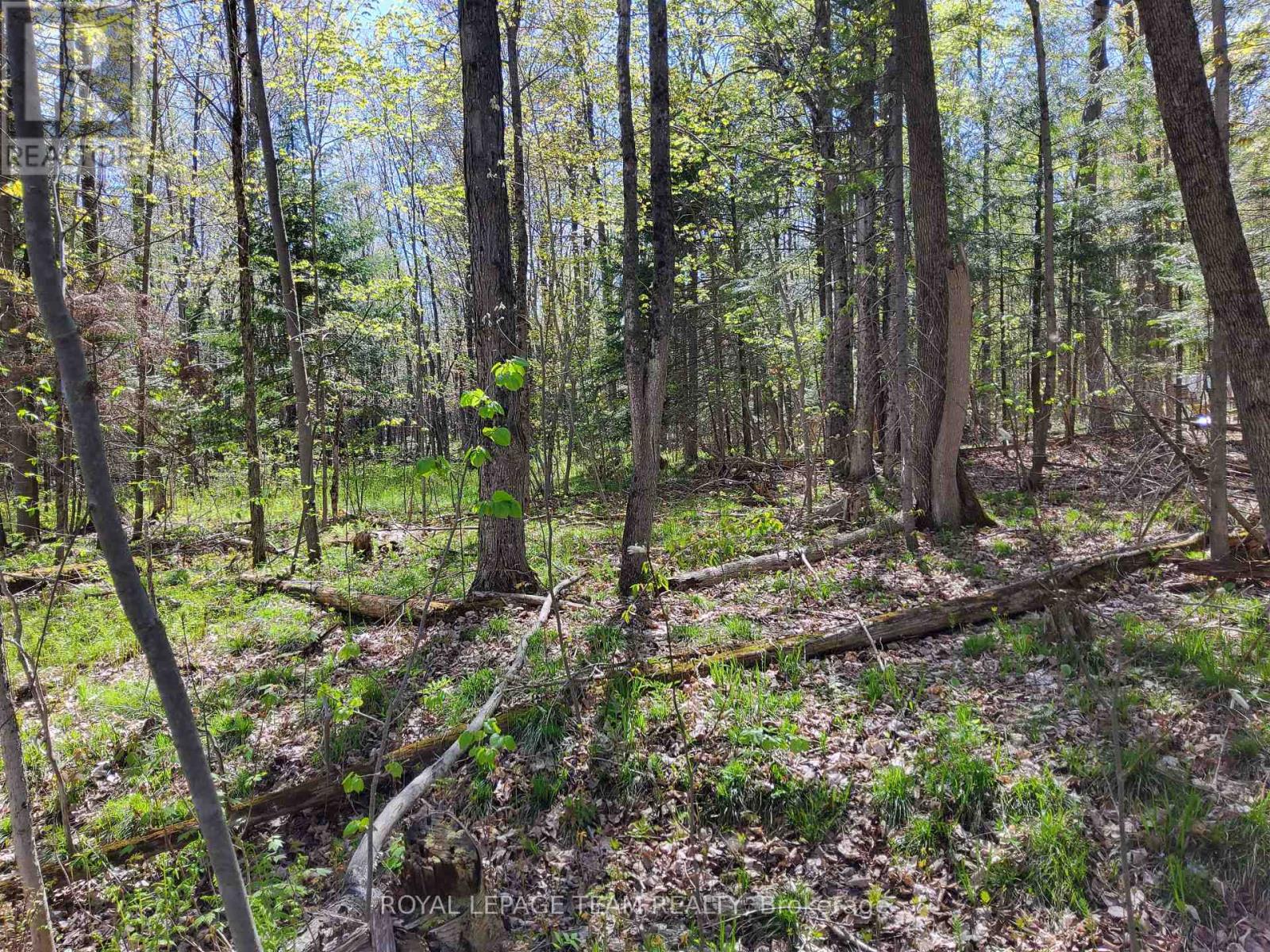 0 Totem Ranch Road, , Ontario  K0G 1T0 - Photo 13 - X12146589
