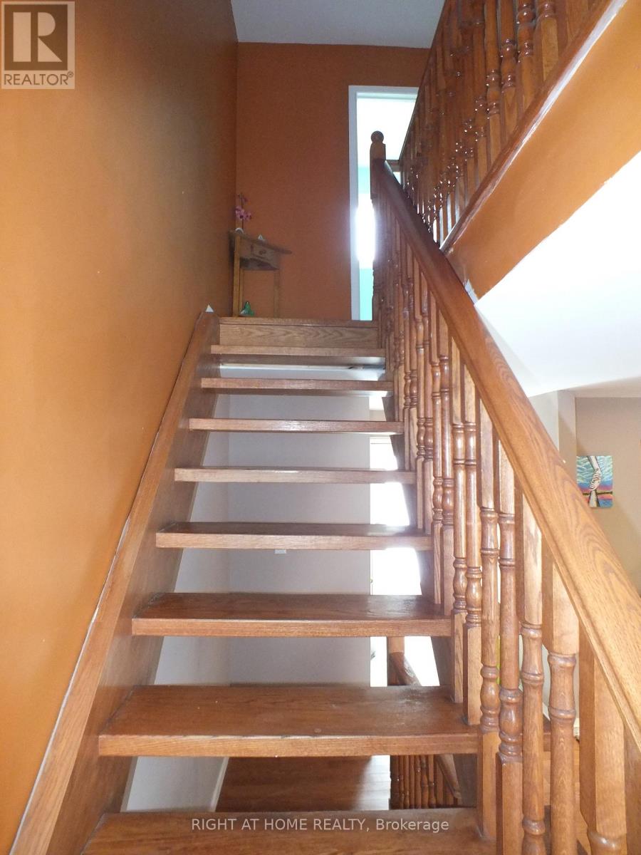 522 Cavell Drive, Mississauga, Ontario  L5B 2N9 - Photo 11 - W12148979