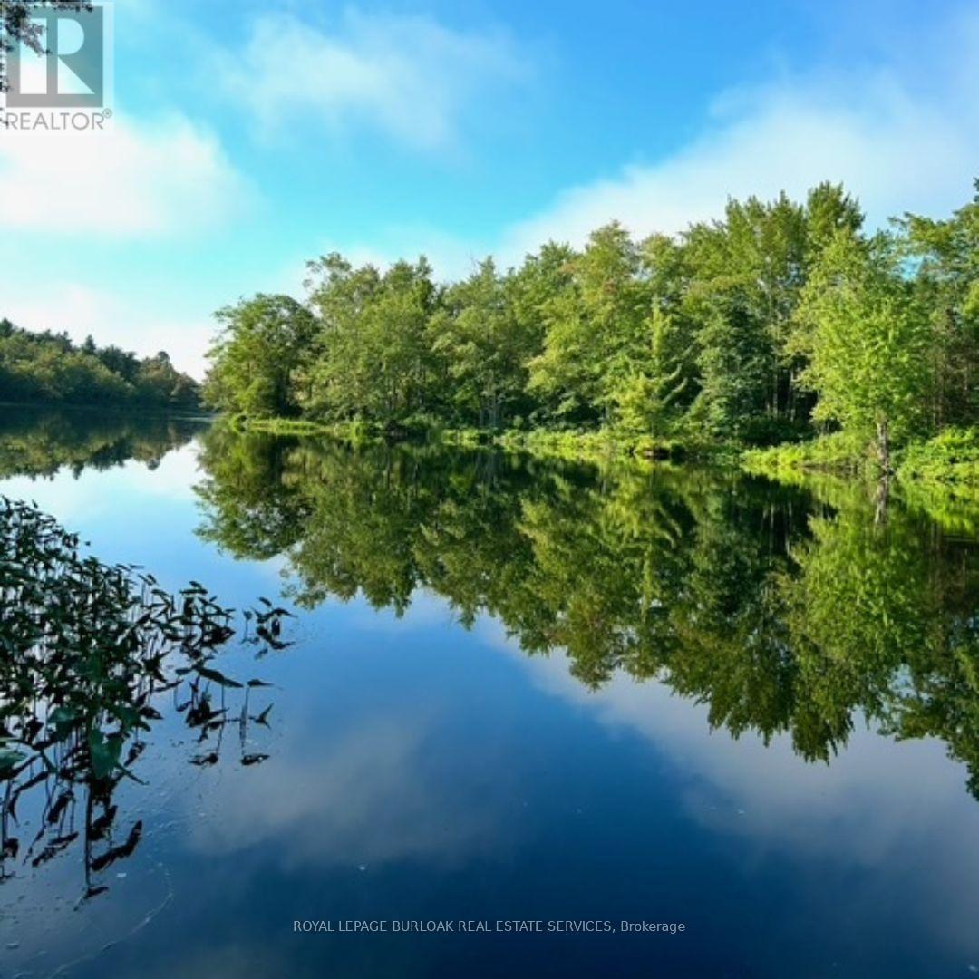 629 Bowen Road, Havelock-Belmont-Methuen, Ontario  K0L 1Z0 - Photo 8 - X12148465