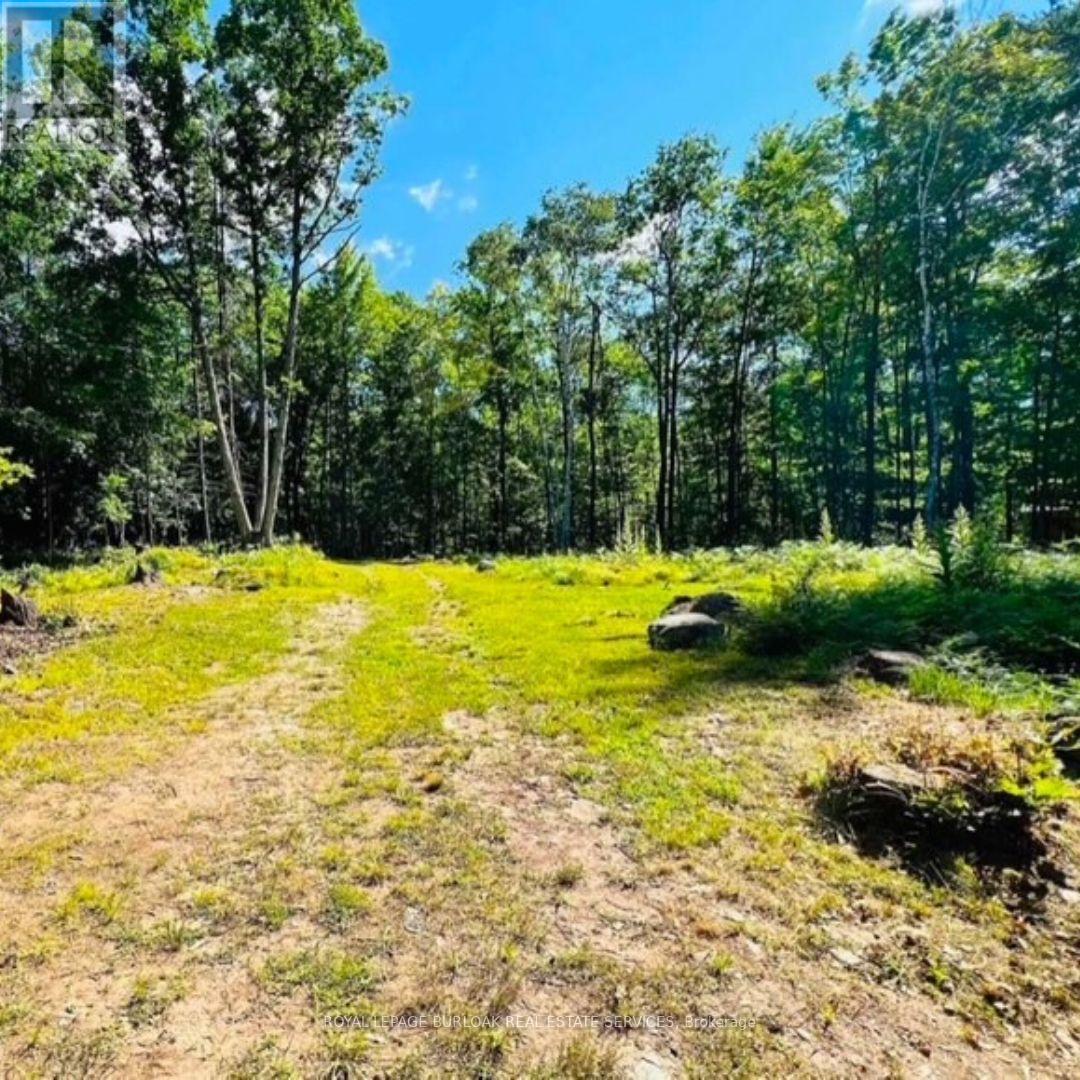 629 Bowen Road, Havelock-Belmont-Methuen, Ontario  K0L 1Z0 - Photo 10 - X12148465