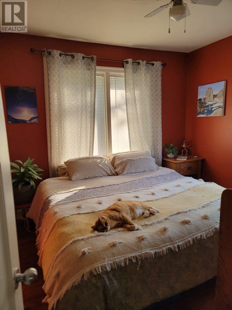 178 Columbia Avenue, Castlegar, British Columbia  V1N 1A9 - Photo 6 - 10347474