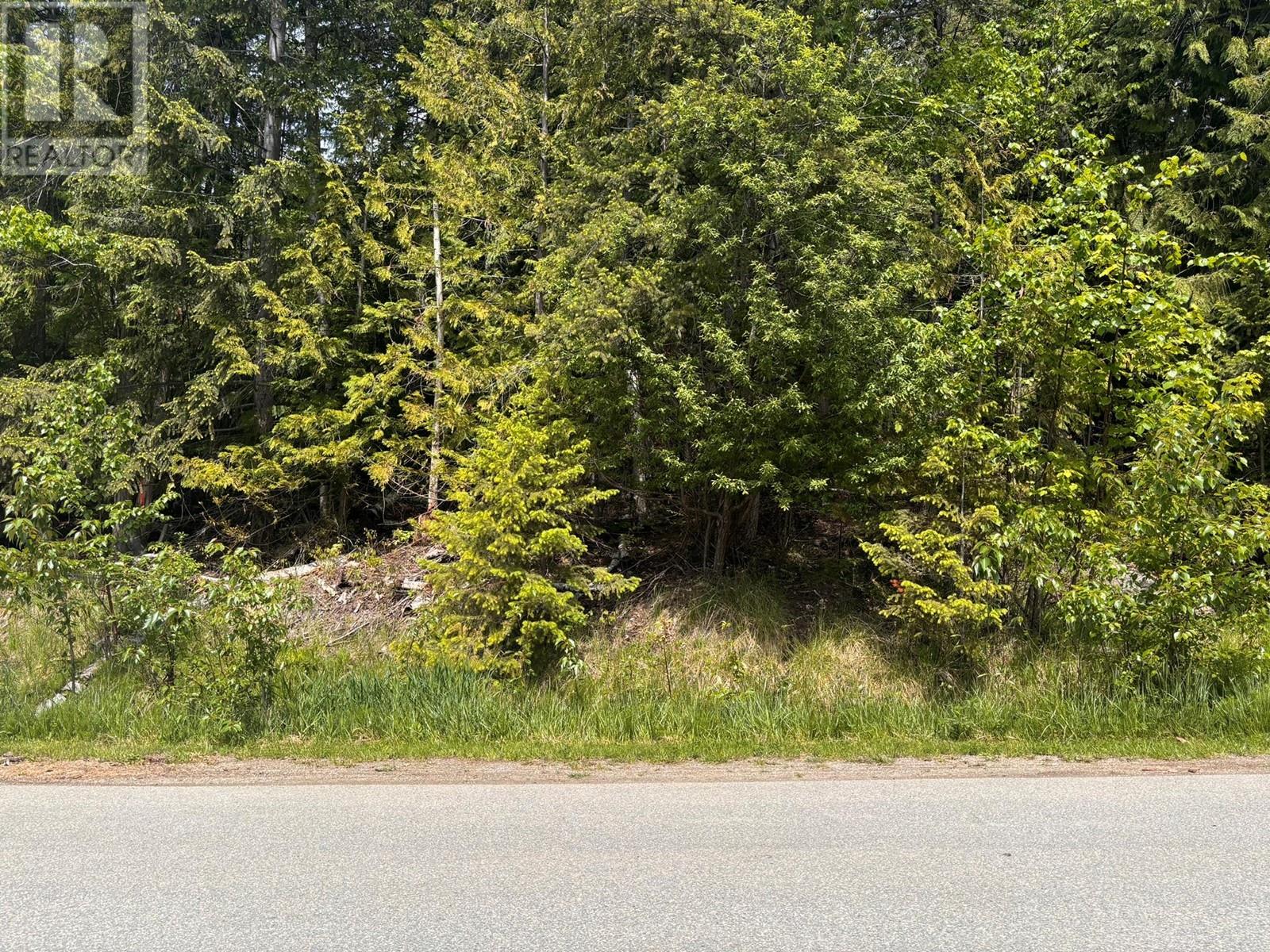 Lot 158 Anglemont Drive, Anglemont, British Columbia  V0E 1M8 - Photo 2 - 10348015