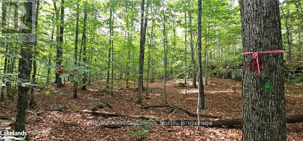 0 SOUTH HORN LAKE ROAD, Magnetawan, Ontario