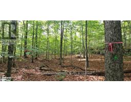 0 SOUTH HORN LAKE ROAD, Magnetawan, Ontario