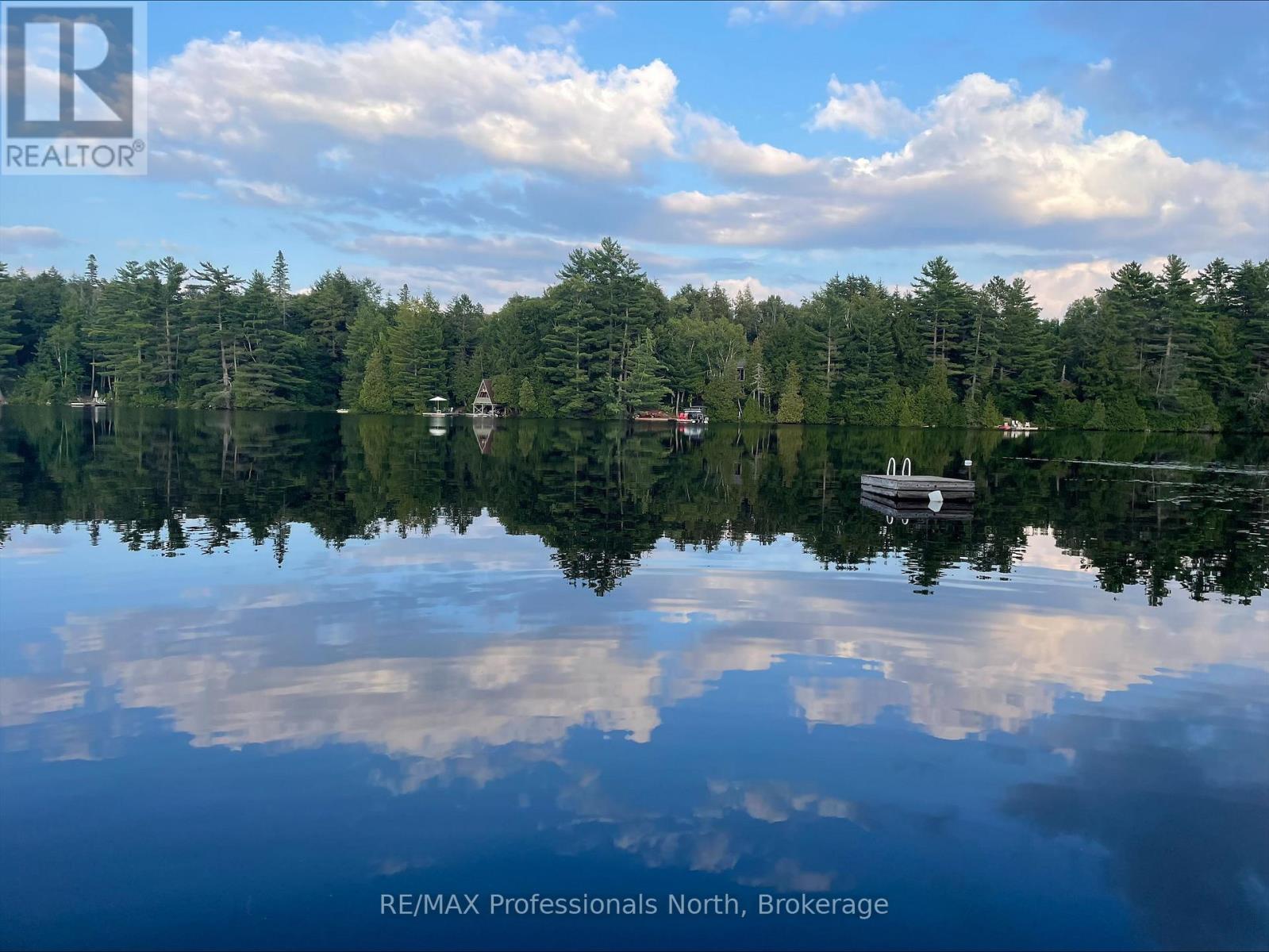 3 - 2901 Limberlost Road, Lake Of Bays, Ontario  P1H 2J6 - Photo 30 - X12076783