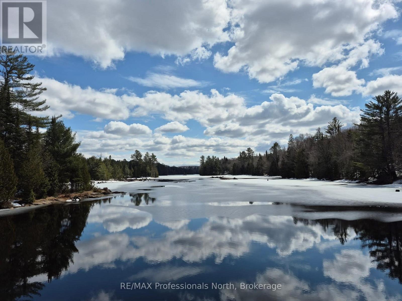 3 - 2901 Limberlost Road, Lake Of Bays, Ontario  P1H 2J6 - Photo 34 - X12076783