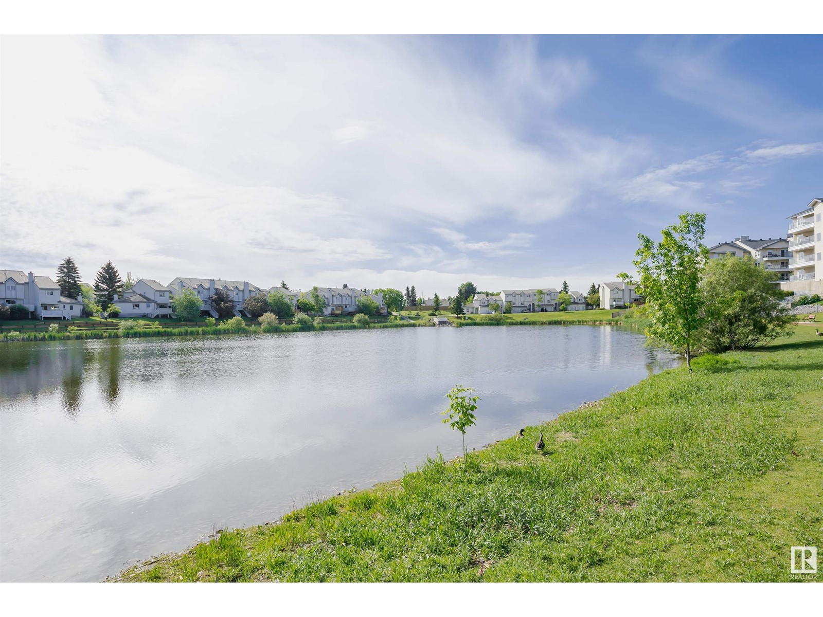 9775 176 St Nw, Edmonton, Alberta  T5T 6B3 - Photo 37 - E4436450