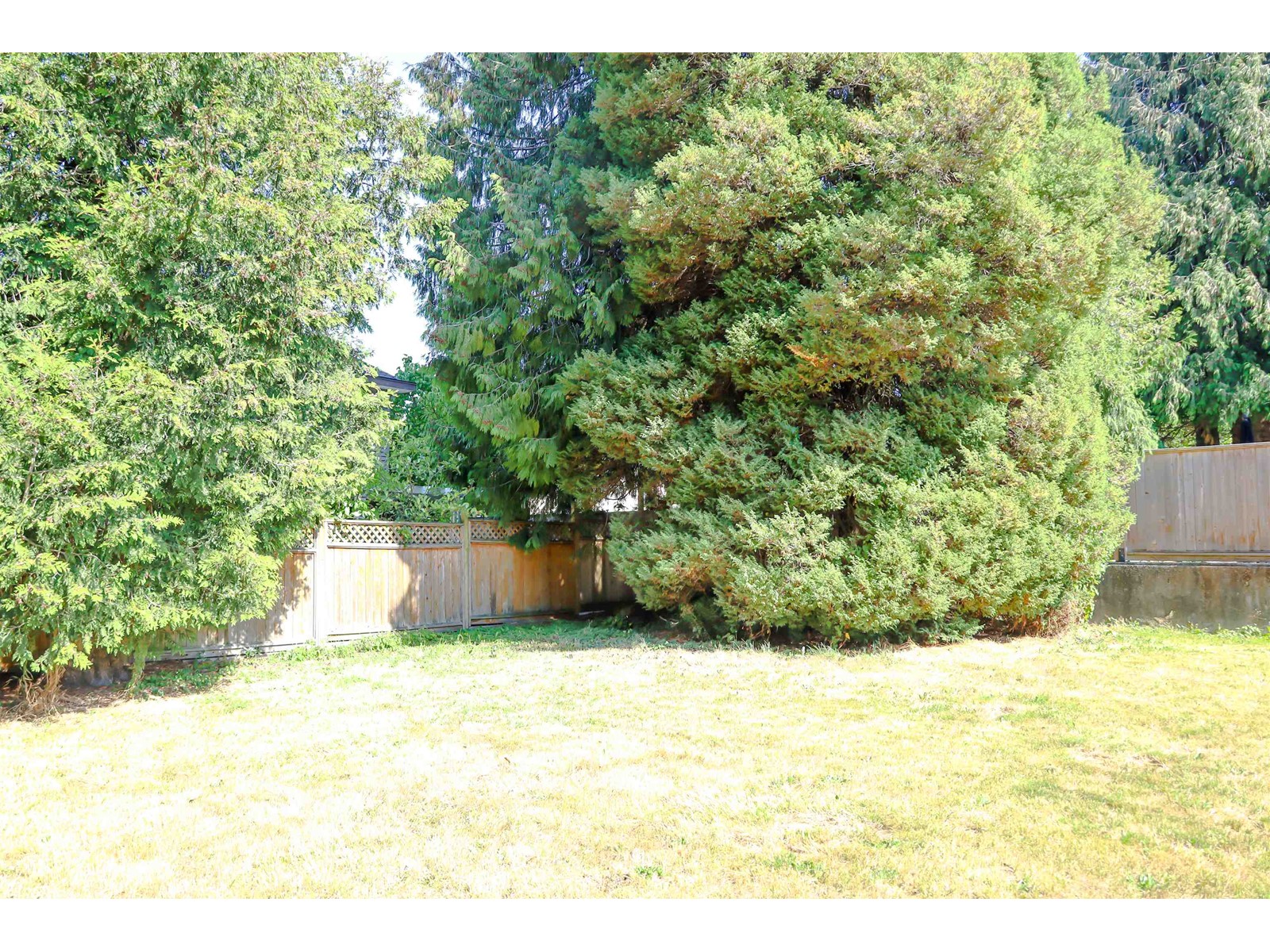 11093 Patricia Drive, Delta, British Columbia  V4C 3A5 - Photo 28 - R3002867