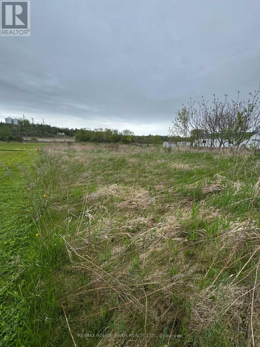 Hwy 2 Part Lot 14, Con A Highway, Alnwick/haldimand, Ontario  K0K 2G0 - Photo 5 - X12149220